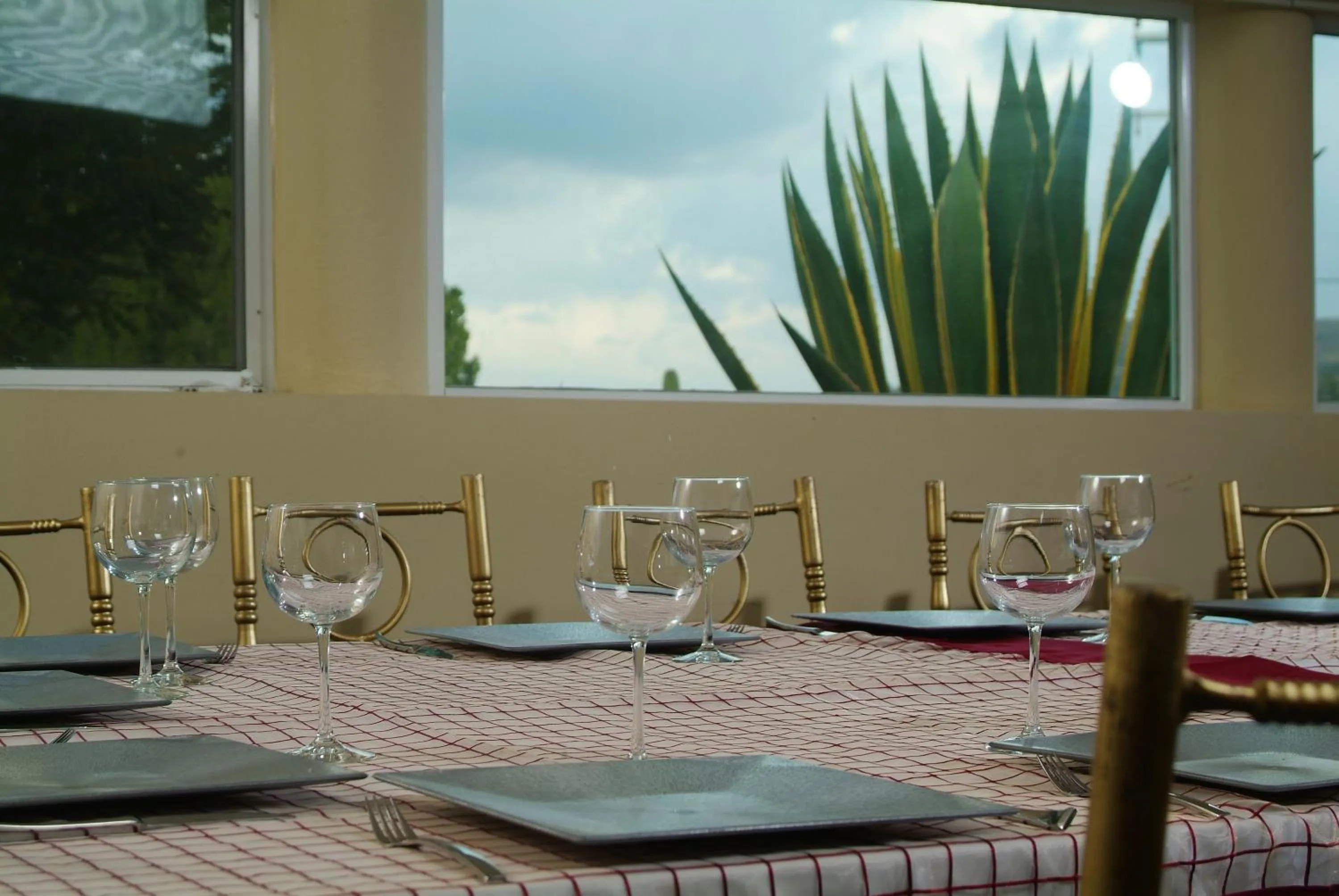 Restaurant/places to eat in Hotel Baruk Teleférico Centro Histórico