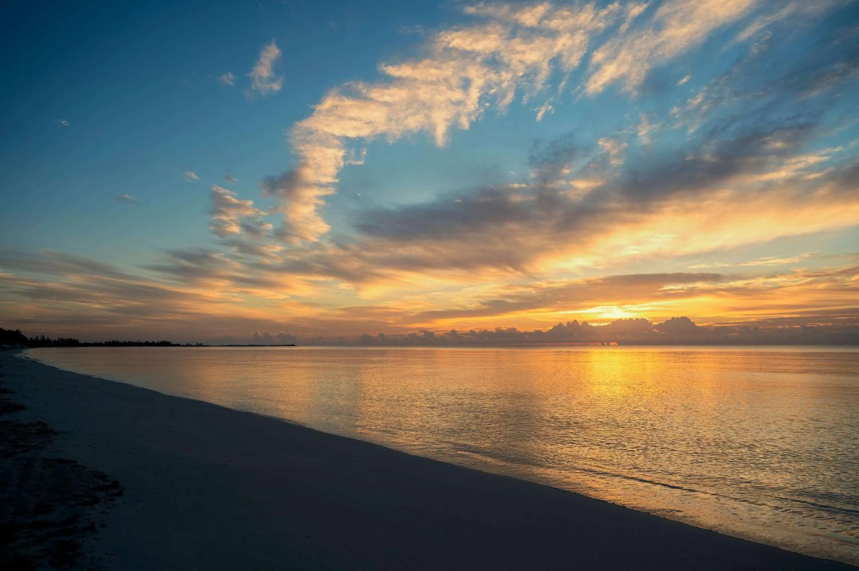 Beach in Viva Fortuna Beach by Wyndham, A Trademark All Inclusive
