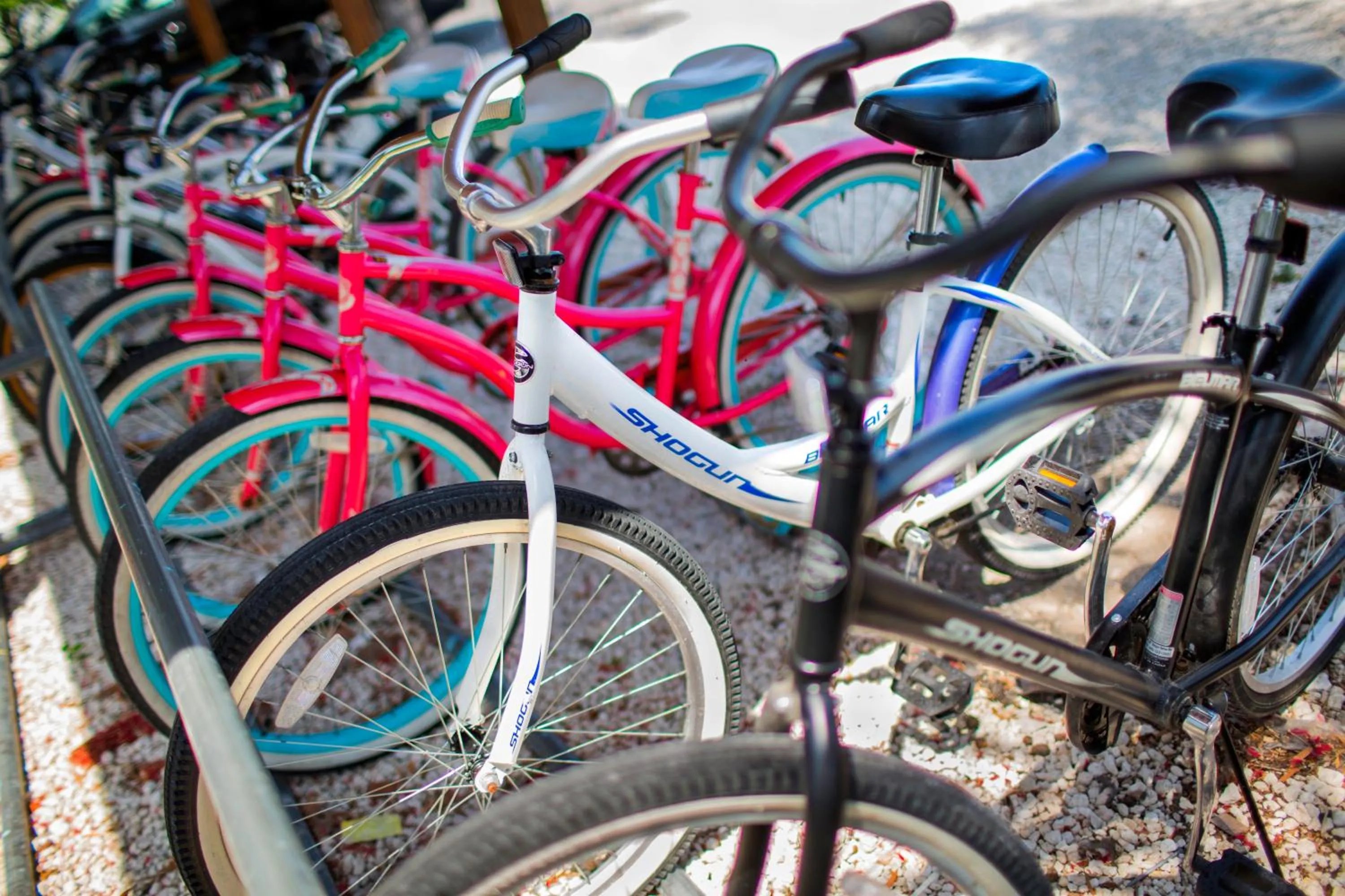 Activities in Viva Fortuna Beach by Wyndham, A Trademark All Inclusive