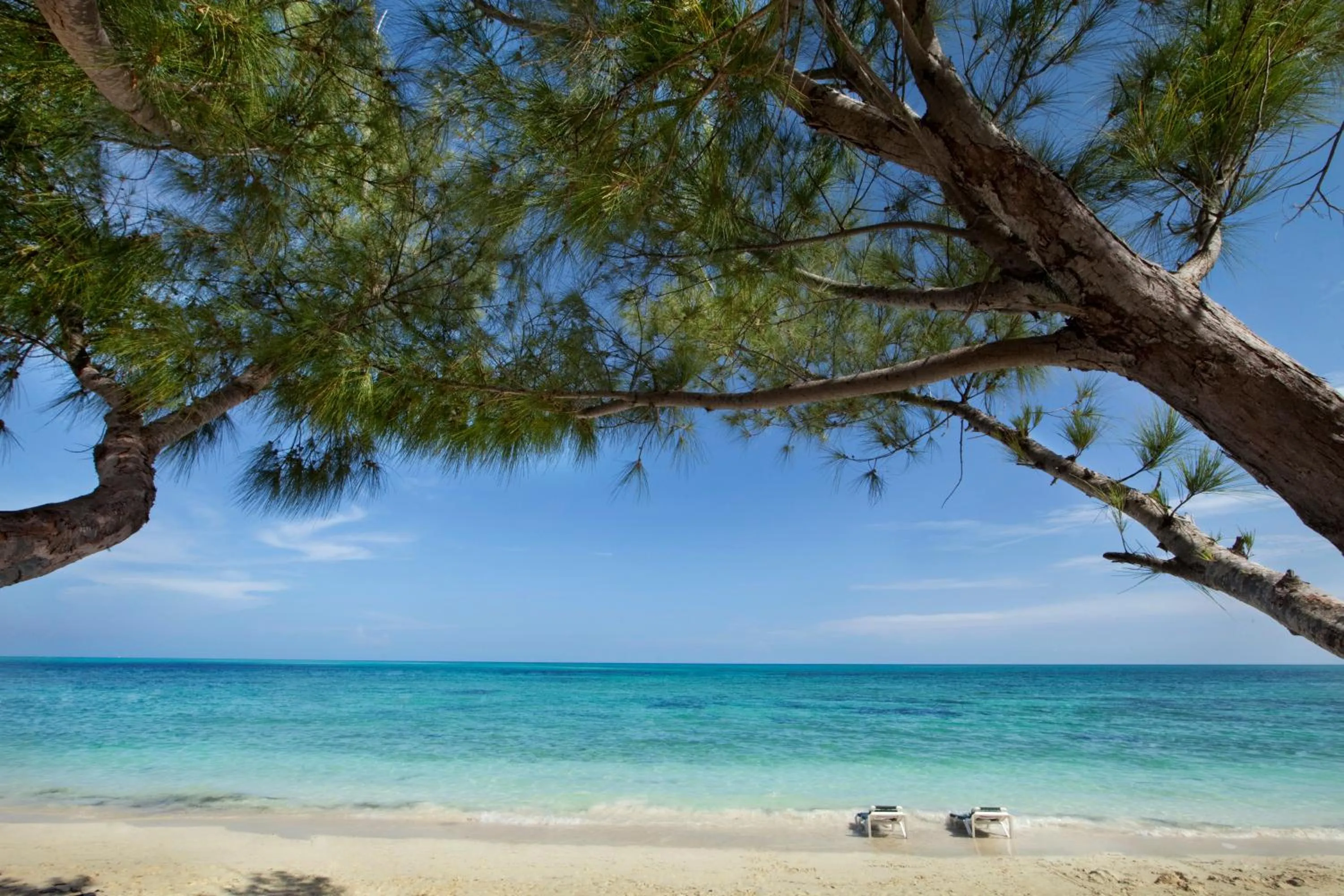 Beach in Viva Fortuna Beach by Wyndham, A Trademark All Inclusive