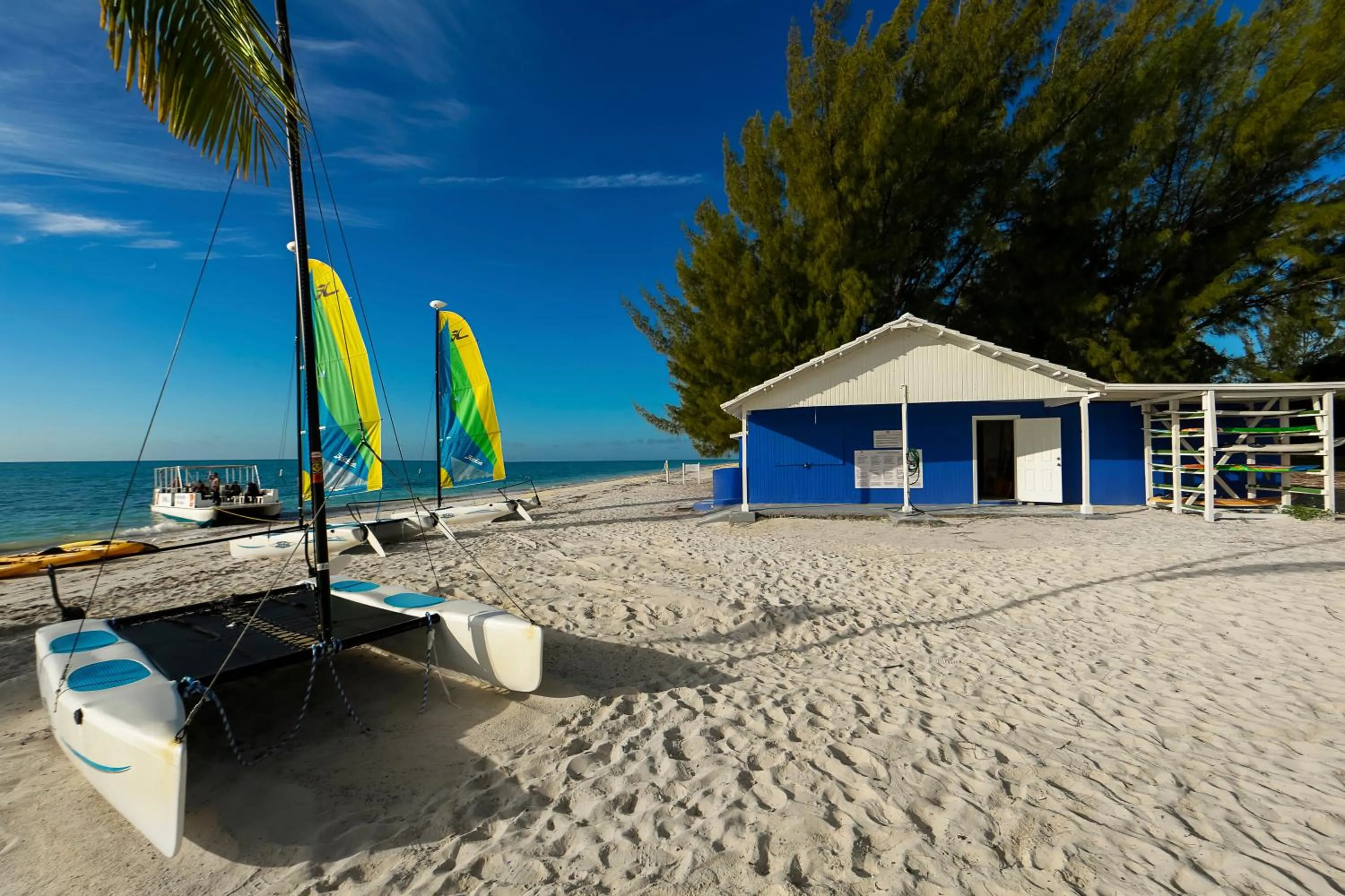 Activities in Viva Fortuna Beach by Wyndham, A Trademark All Inclusive