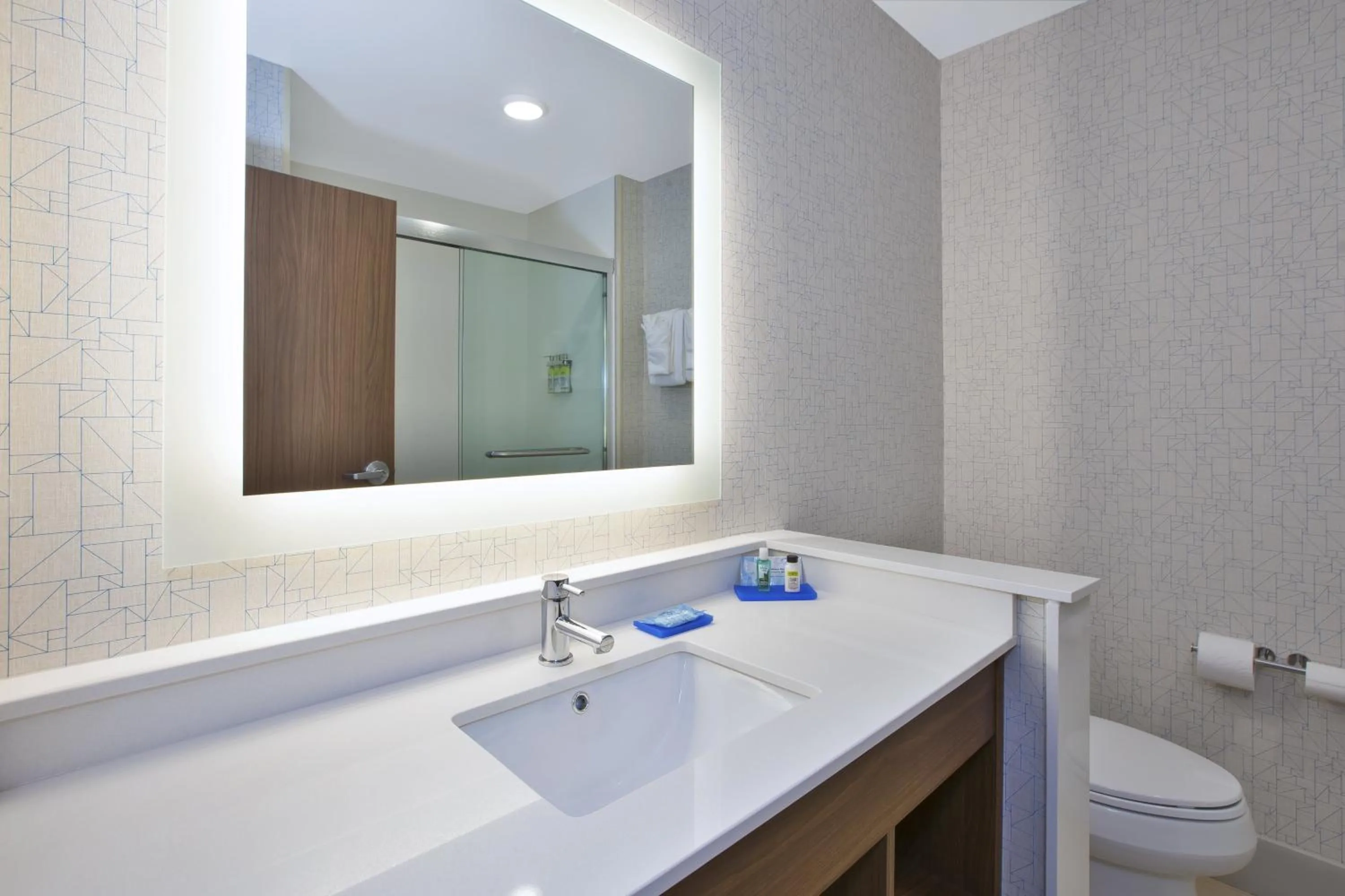 Bathroom in Holiday Inn Express & Suites Grand Rapids Airport North by IHG