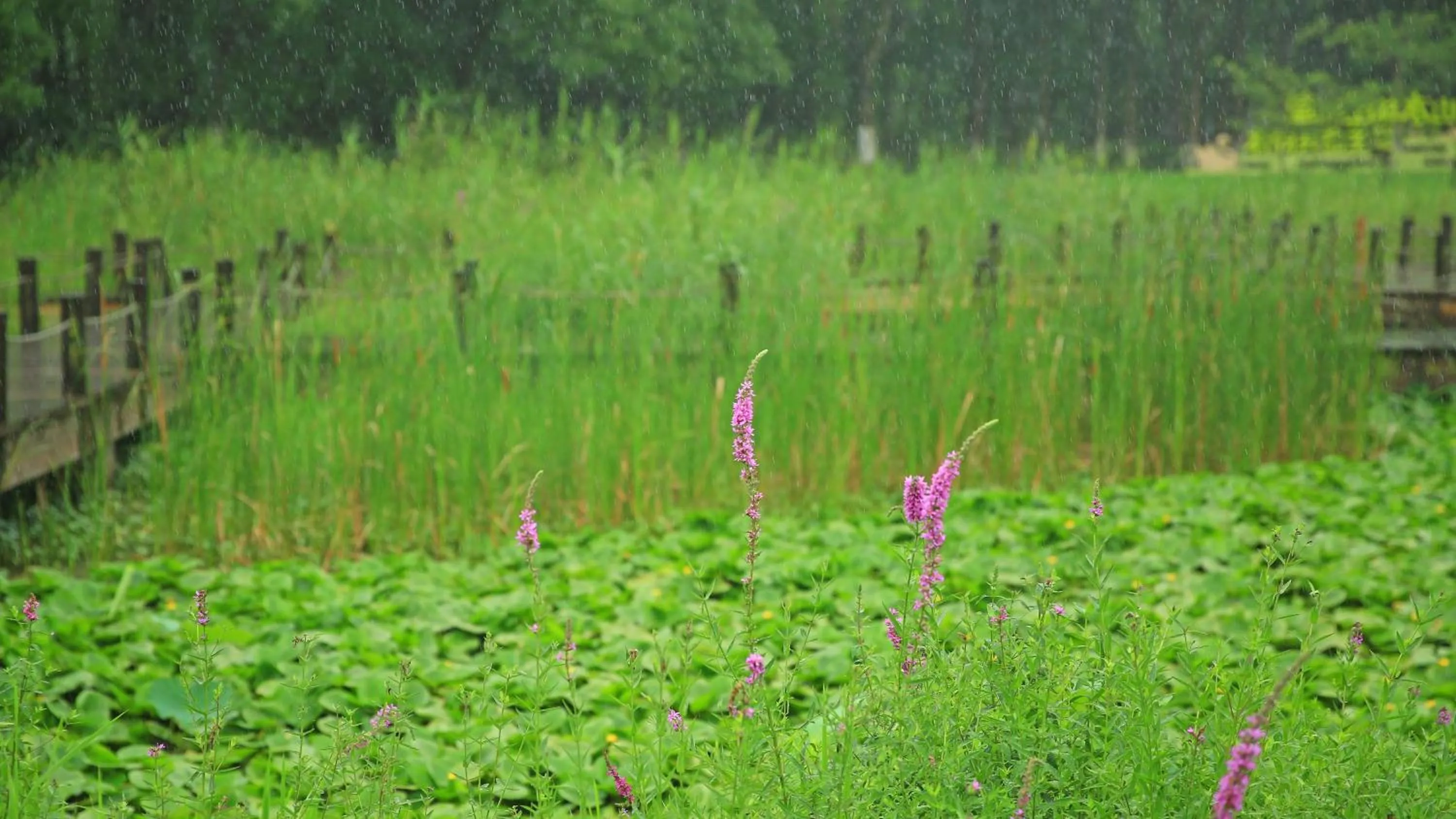 Other in Holiday Inn Kunshan Huaqiao by IHG