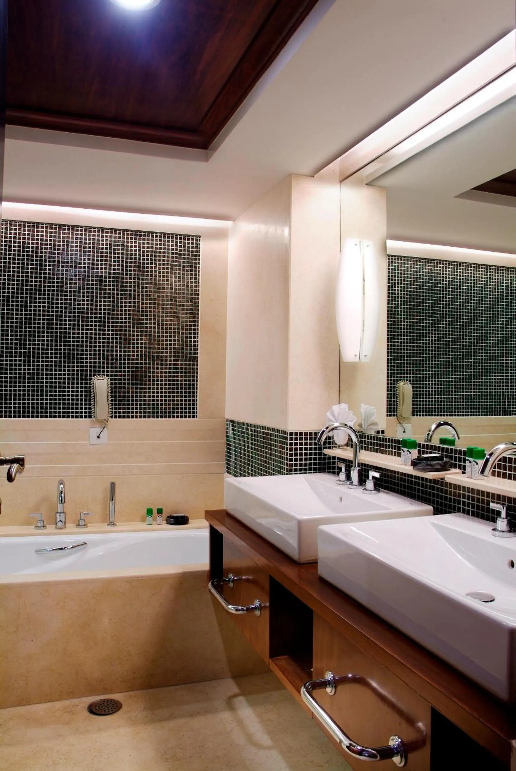 Shower in The Fern, Jaipur