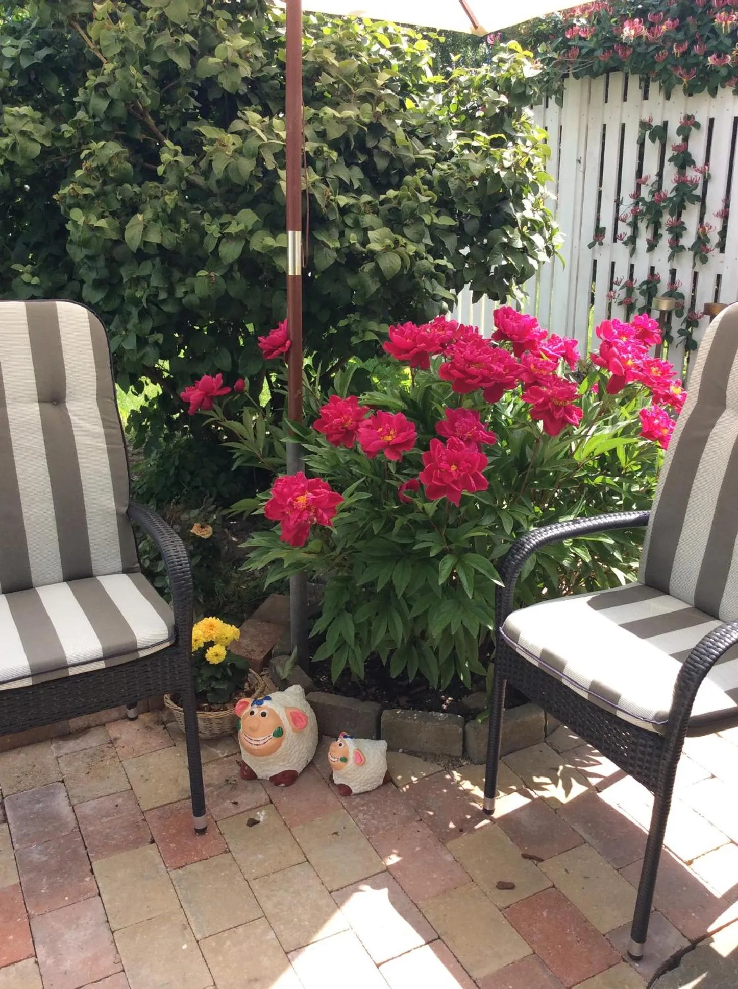 Dadas Bed & Breakfast