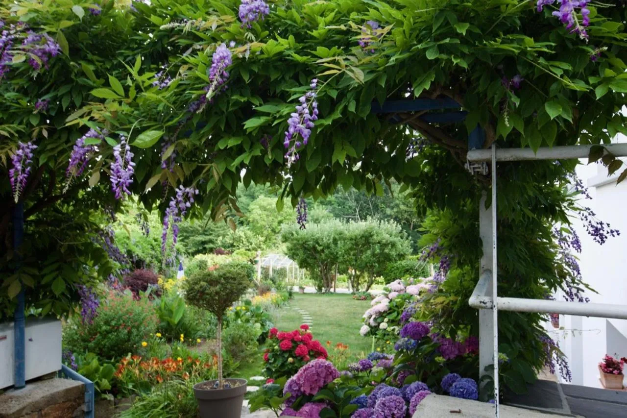 Garden in Hôtel Du Port Et De L'aven