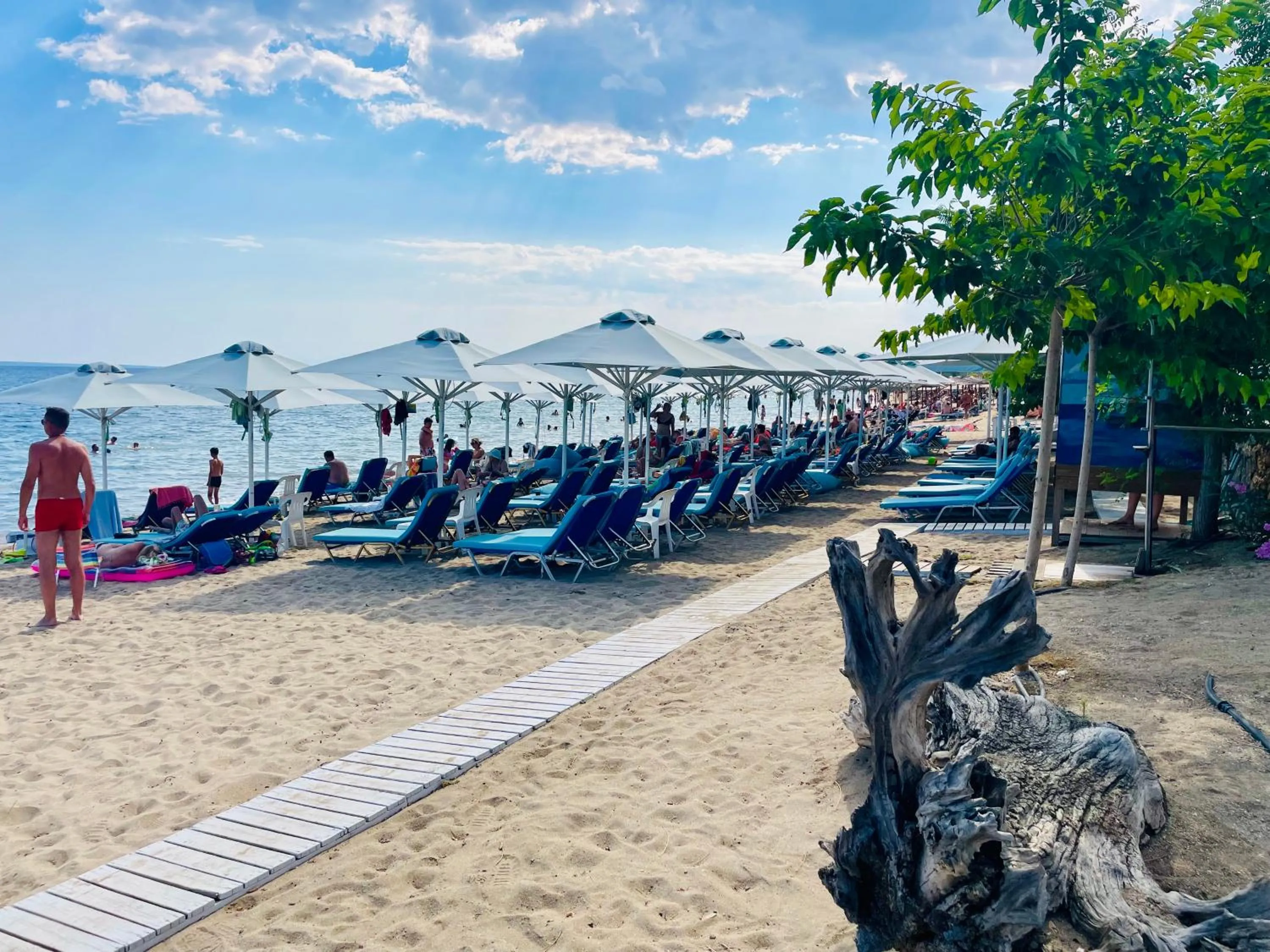 Beach in Melissa Gold Coast