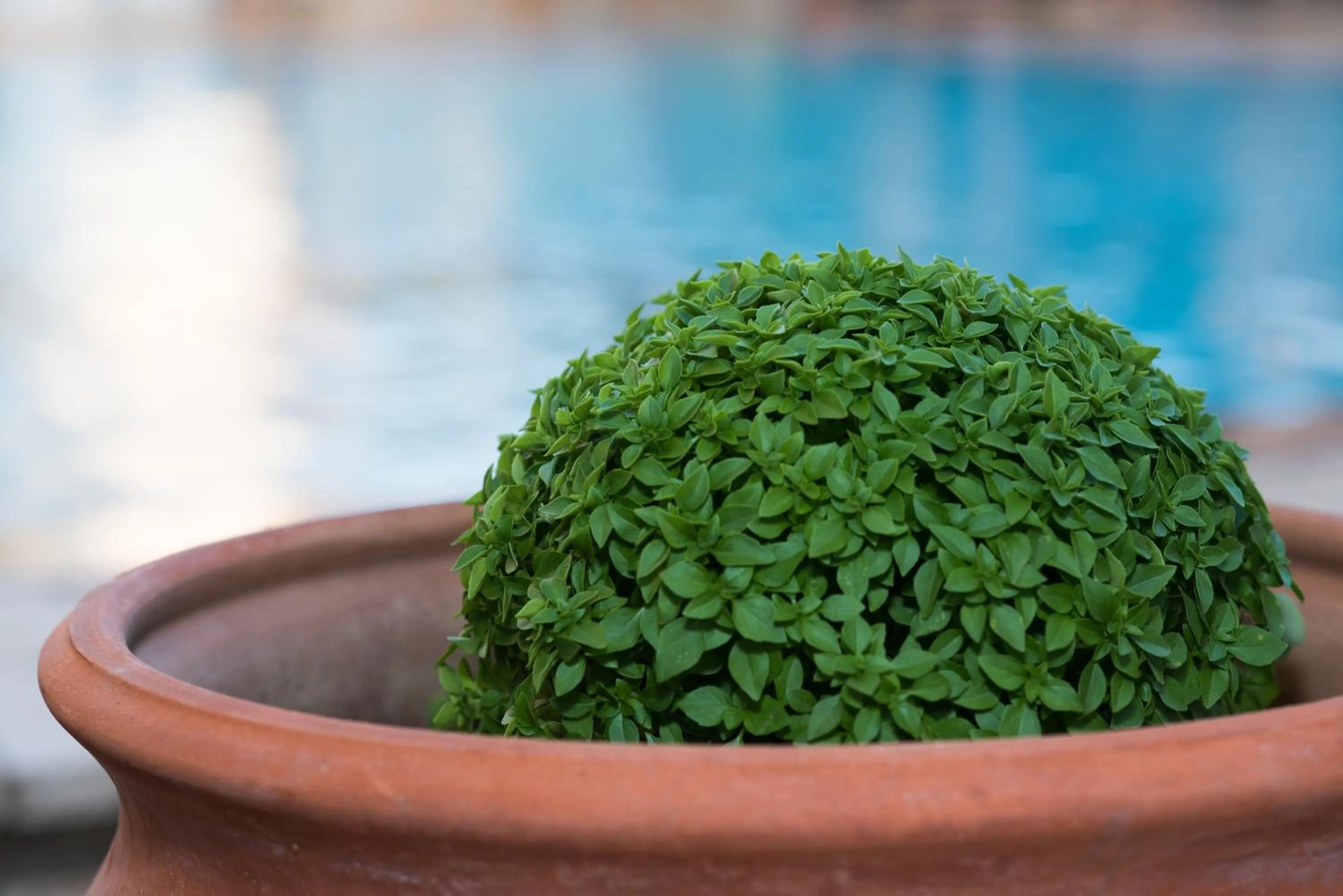 Decorative detail in Villa Vita Holidays