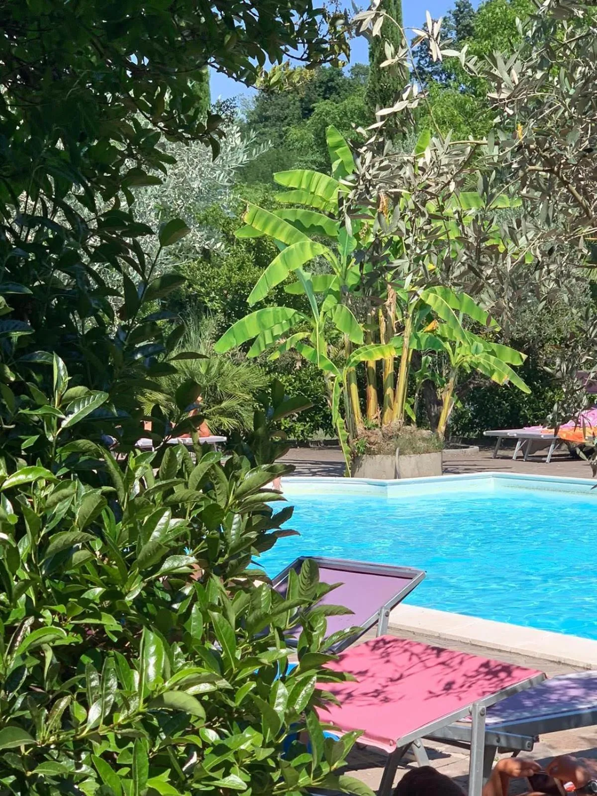 Pool view in Veio Residence Resort