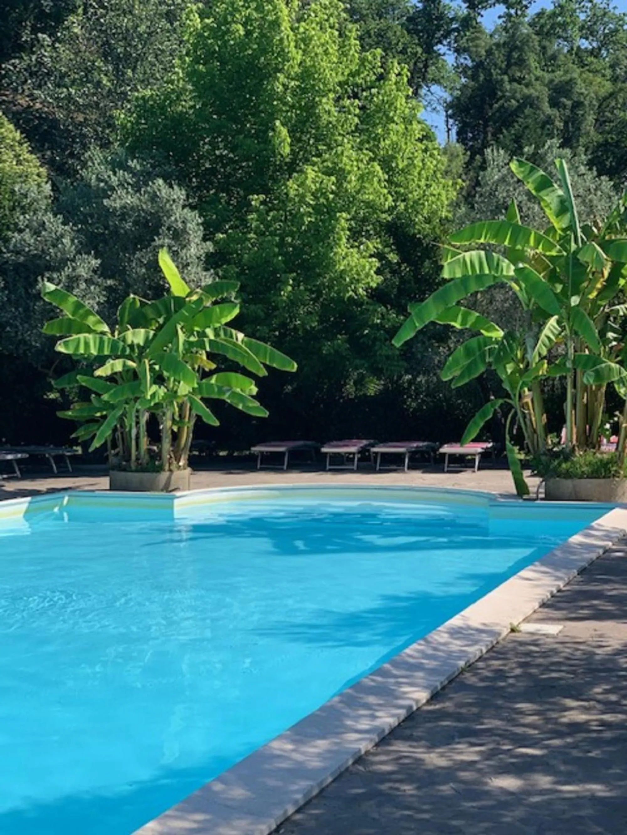 Pool view in Veio Residence Resort