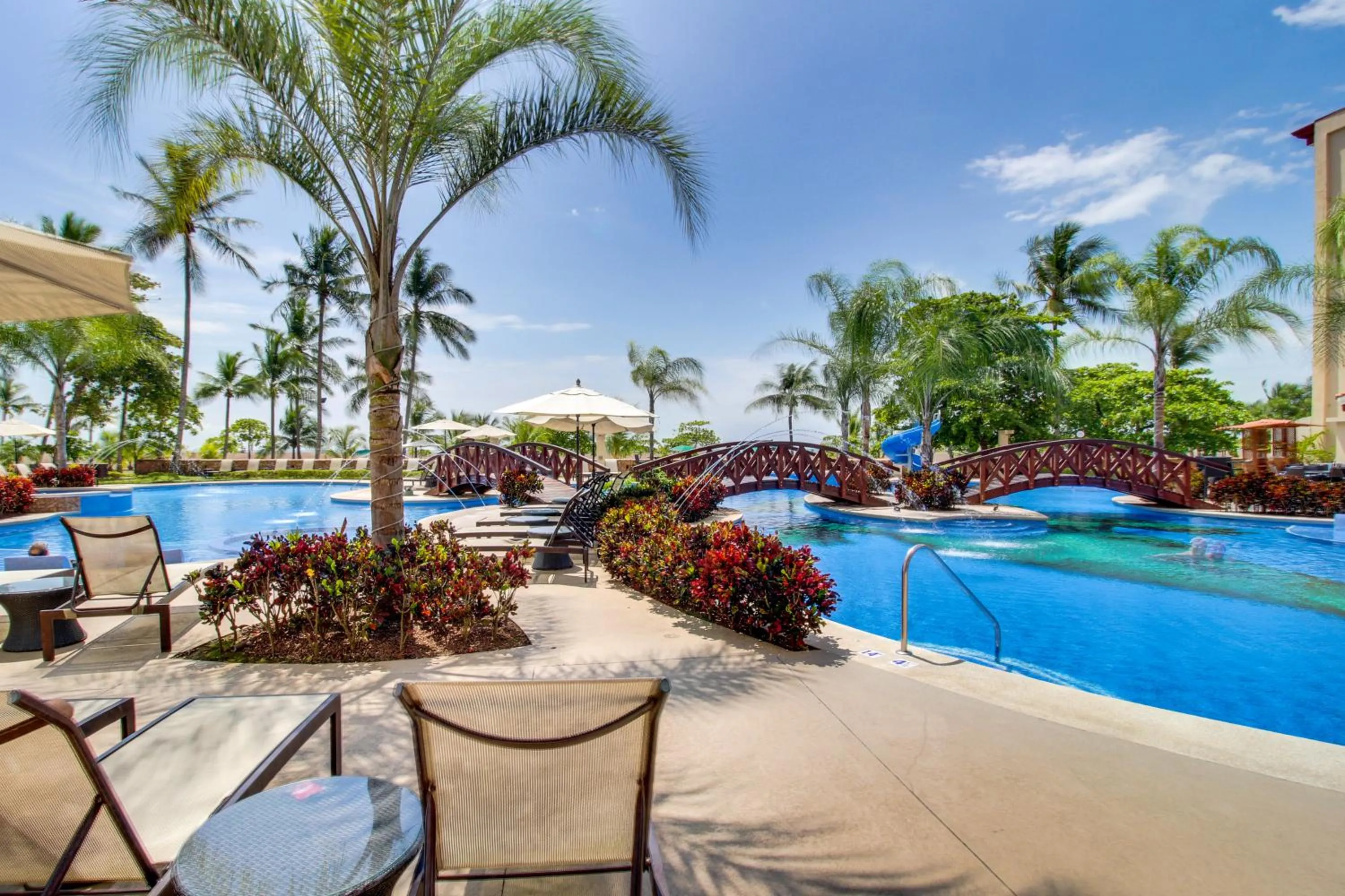 The Palms 101