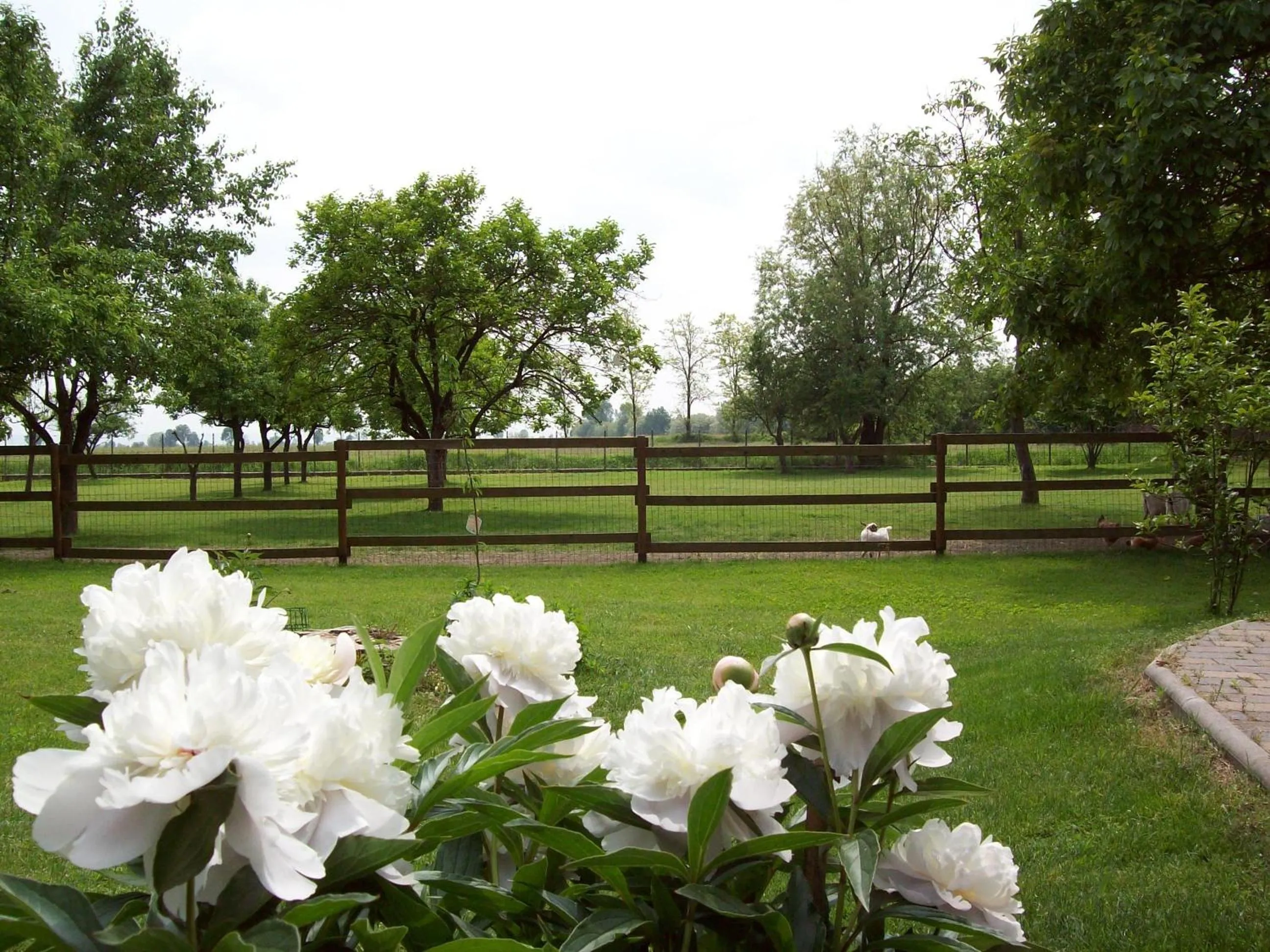 Garden in Agri Village Pavia