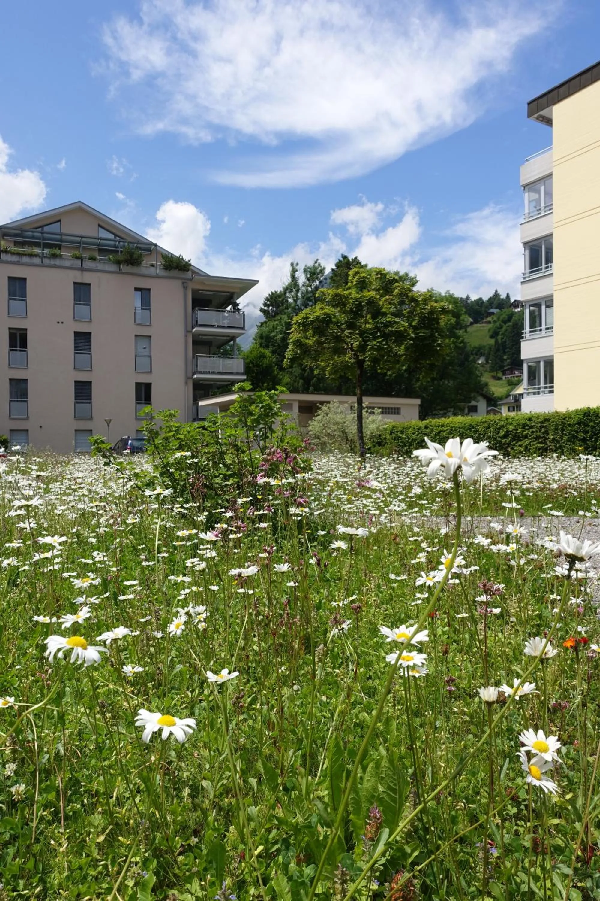 Natural landscape in Hotel Schweizerhof
