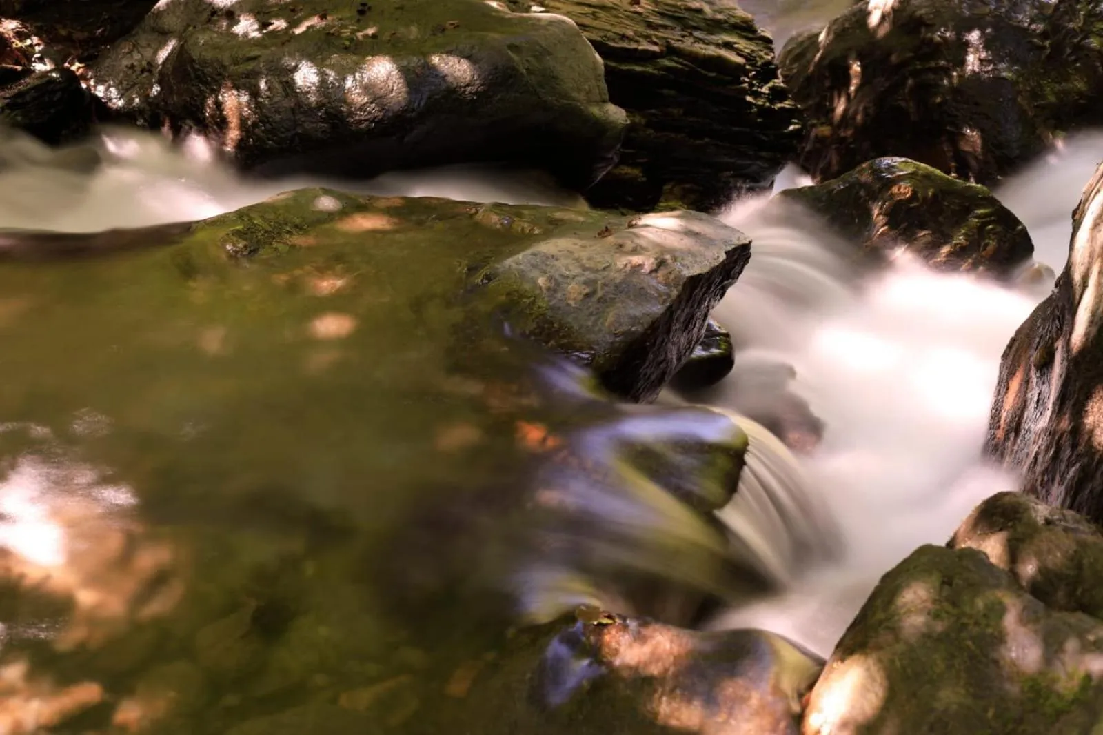 Nearby landmark in Hotel Rural Alfajía de Antonio
