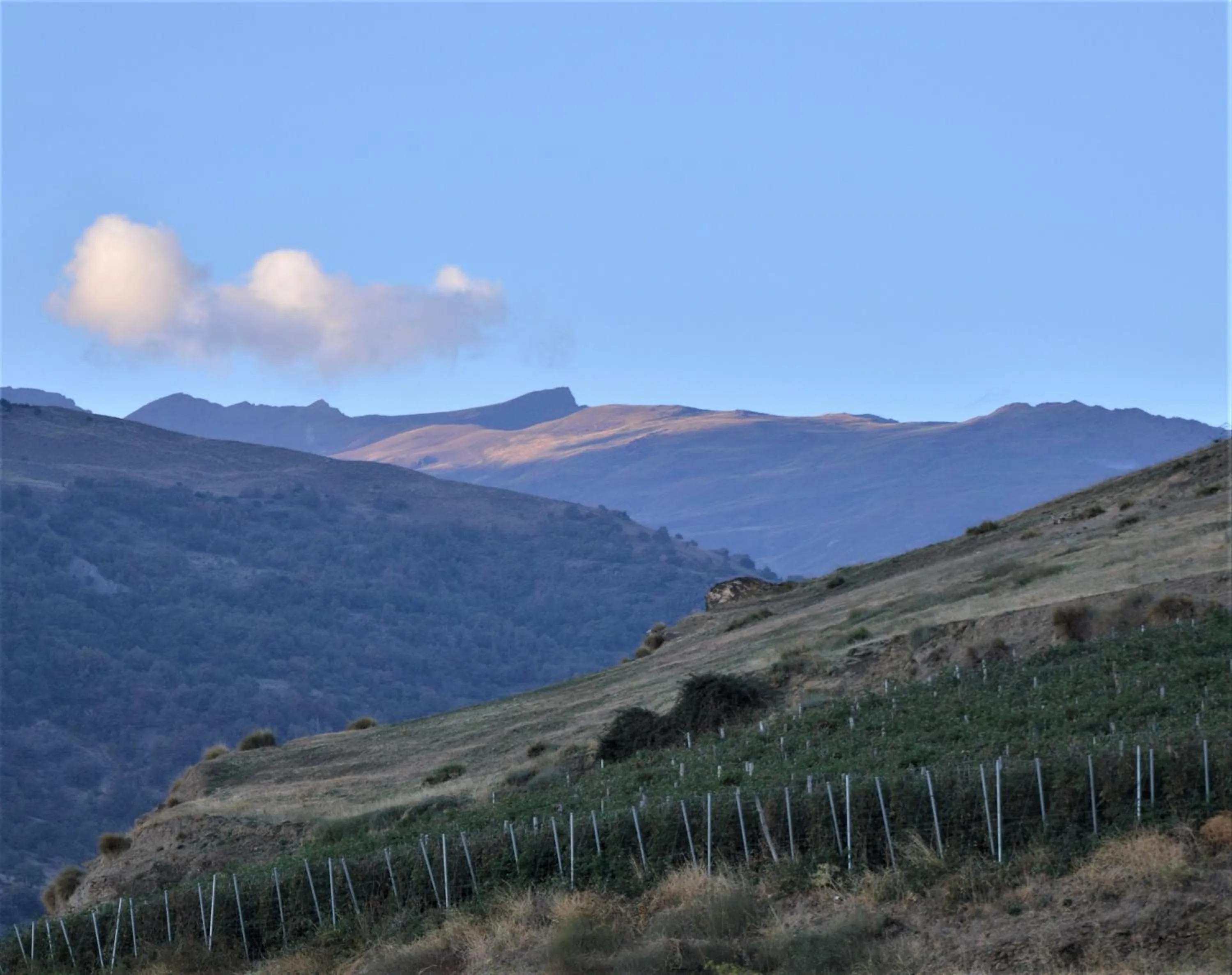 Natural landscape in Hotel Rural Alfajía de Antonio