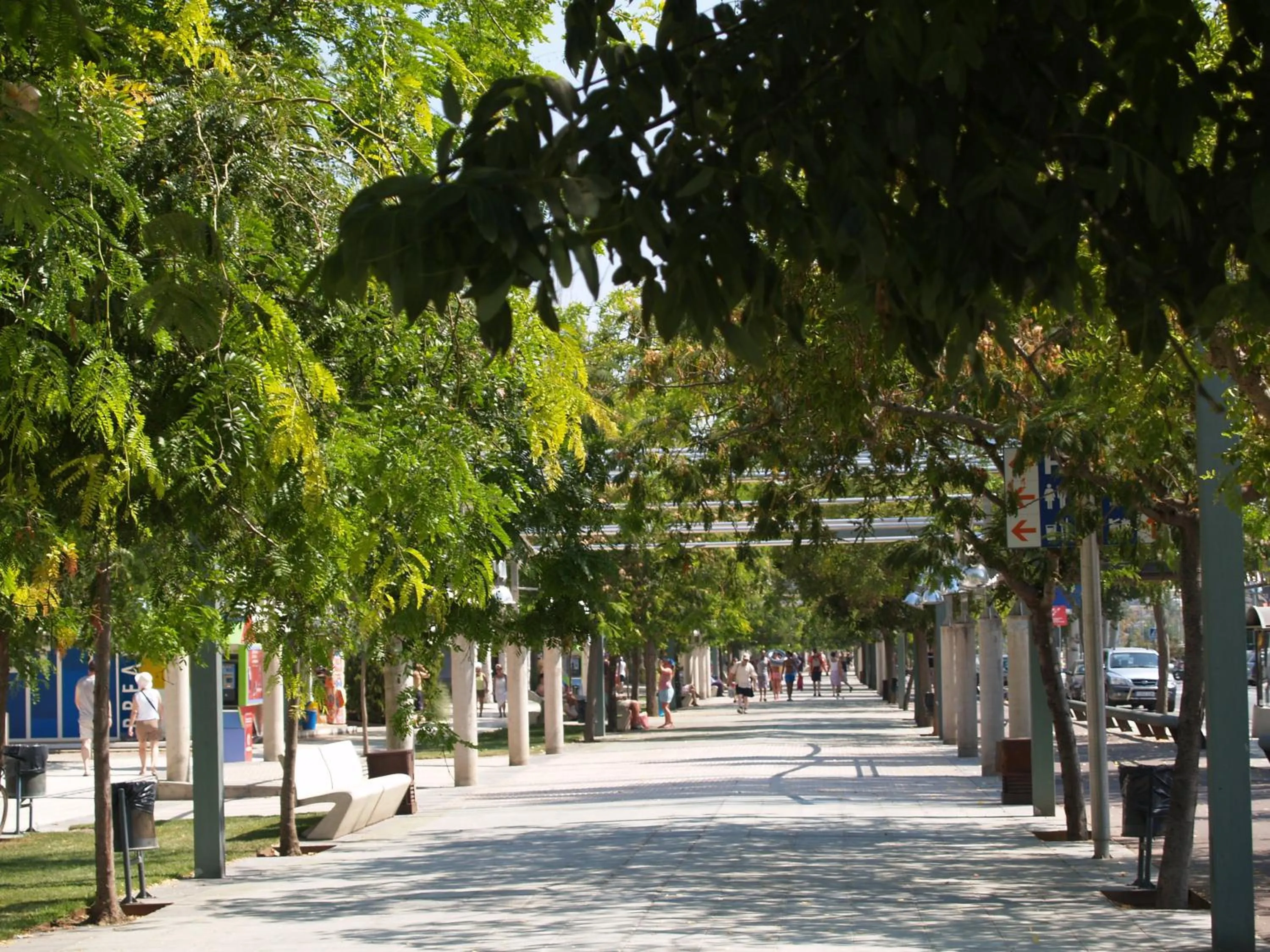 Area and facilities in Hotel Montemar Maritim