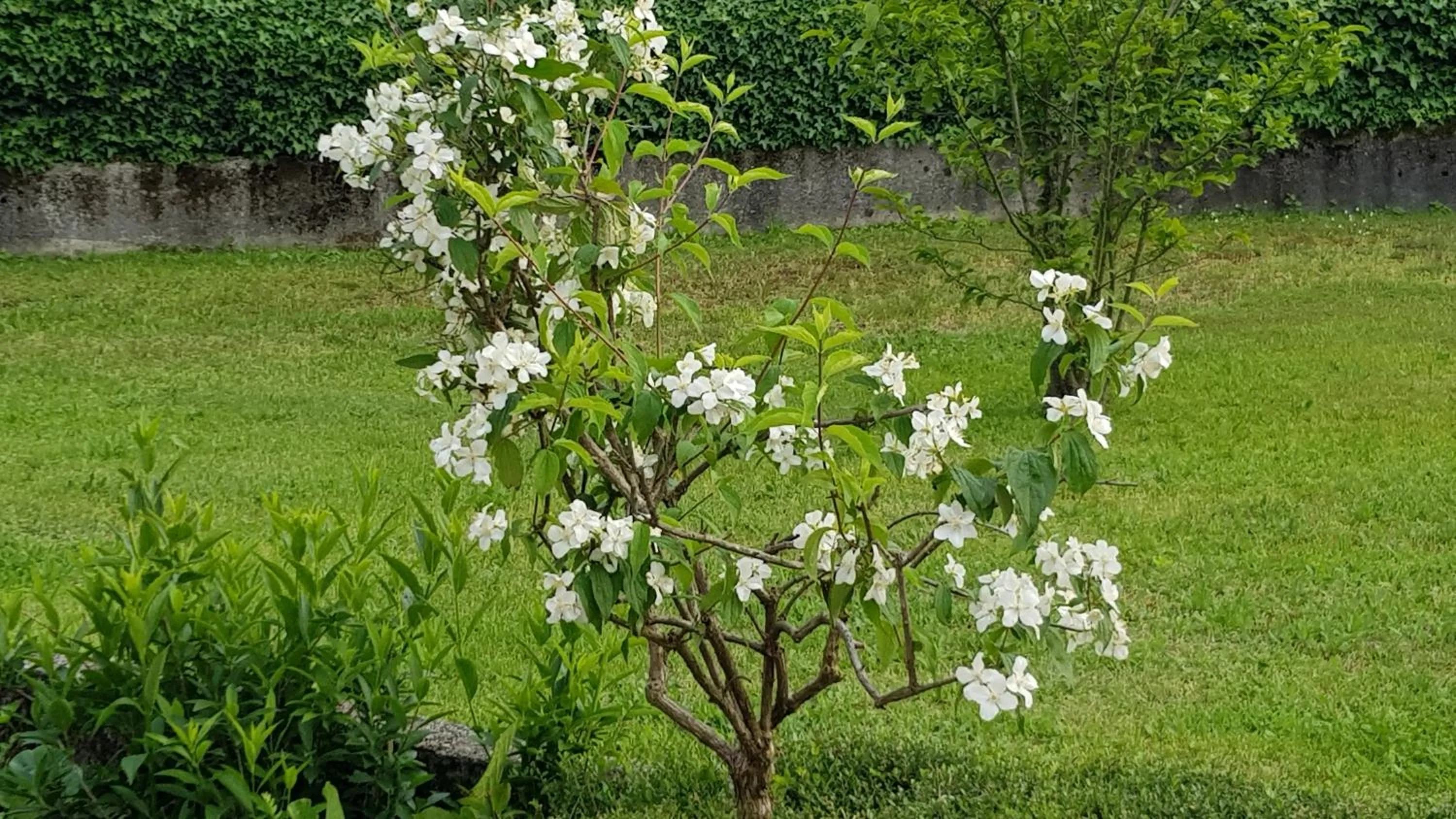 Natural landscape in La Collina