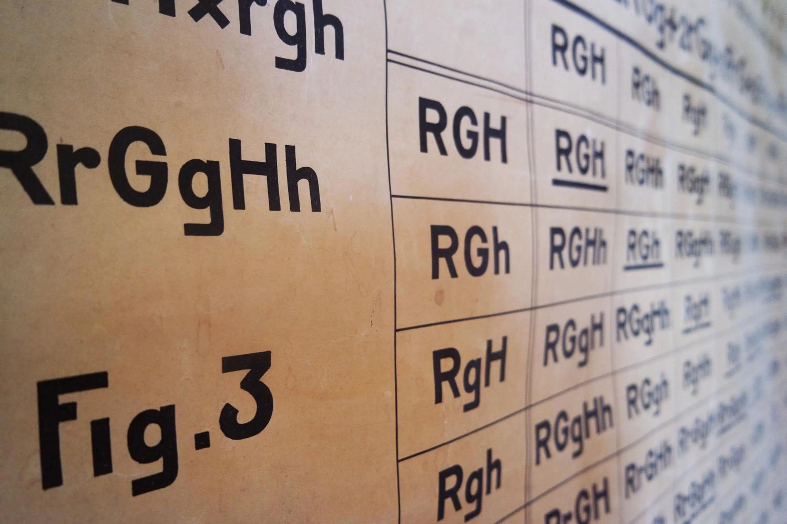 Decorative detail in Alberti - Bed & Bike