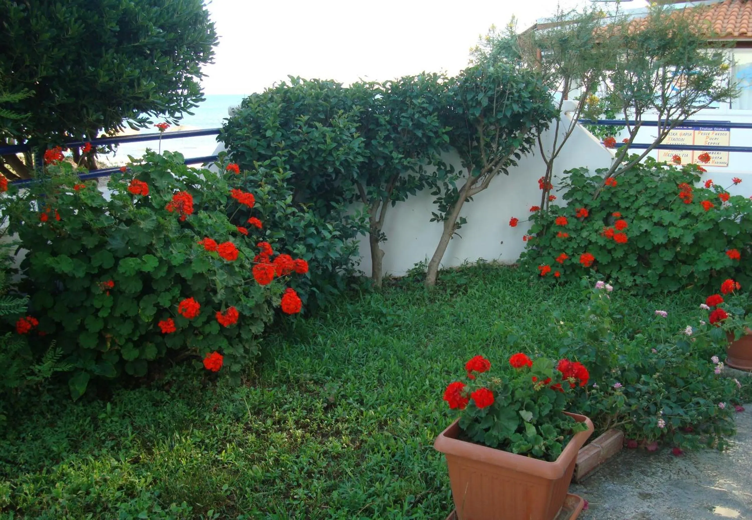 Garden in Philippos Studios & Apartments