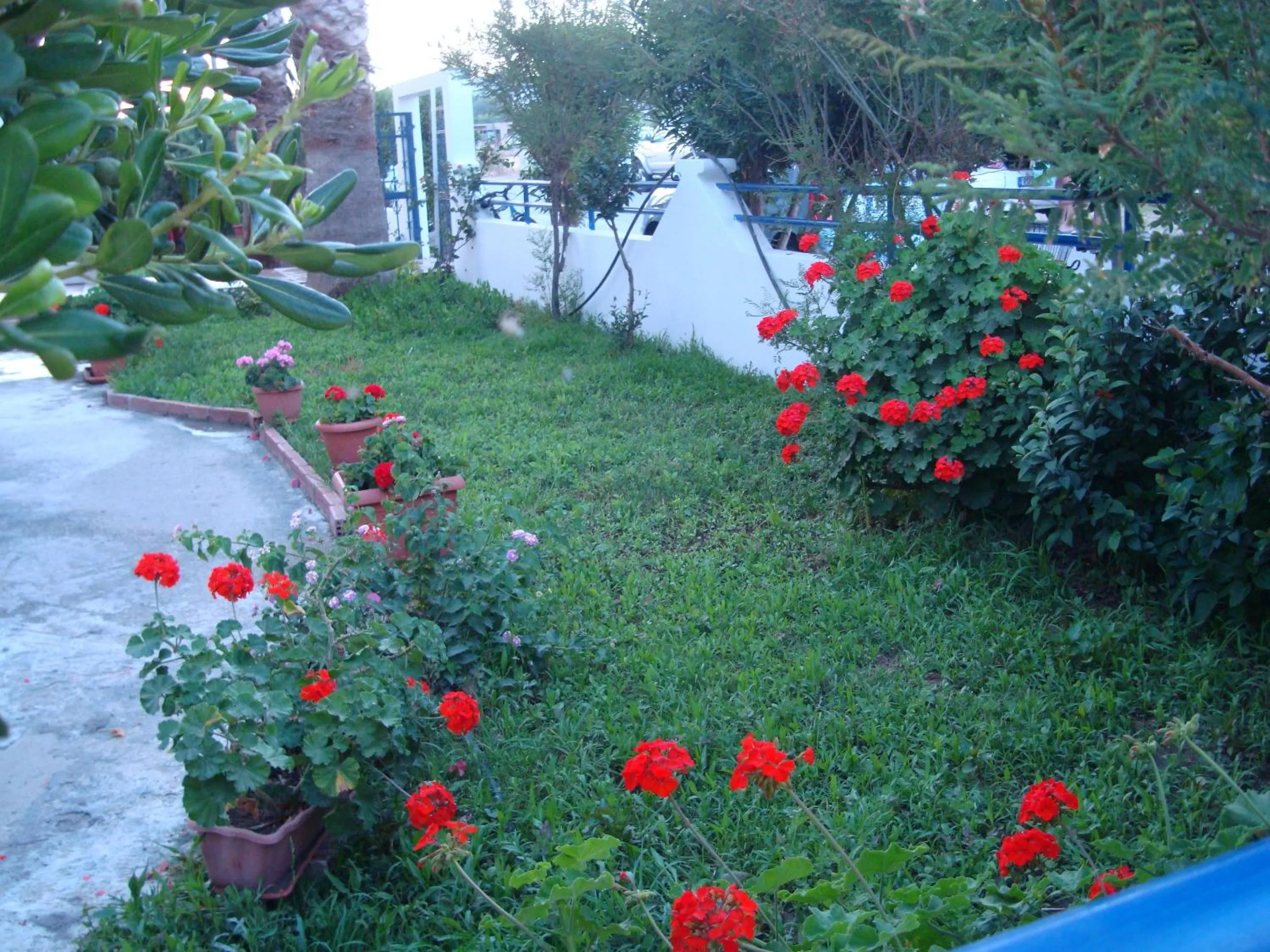 Garden in Philippos Studios & Apartments