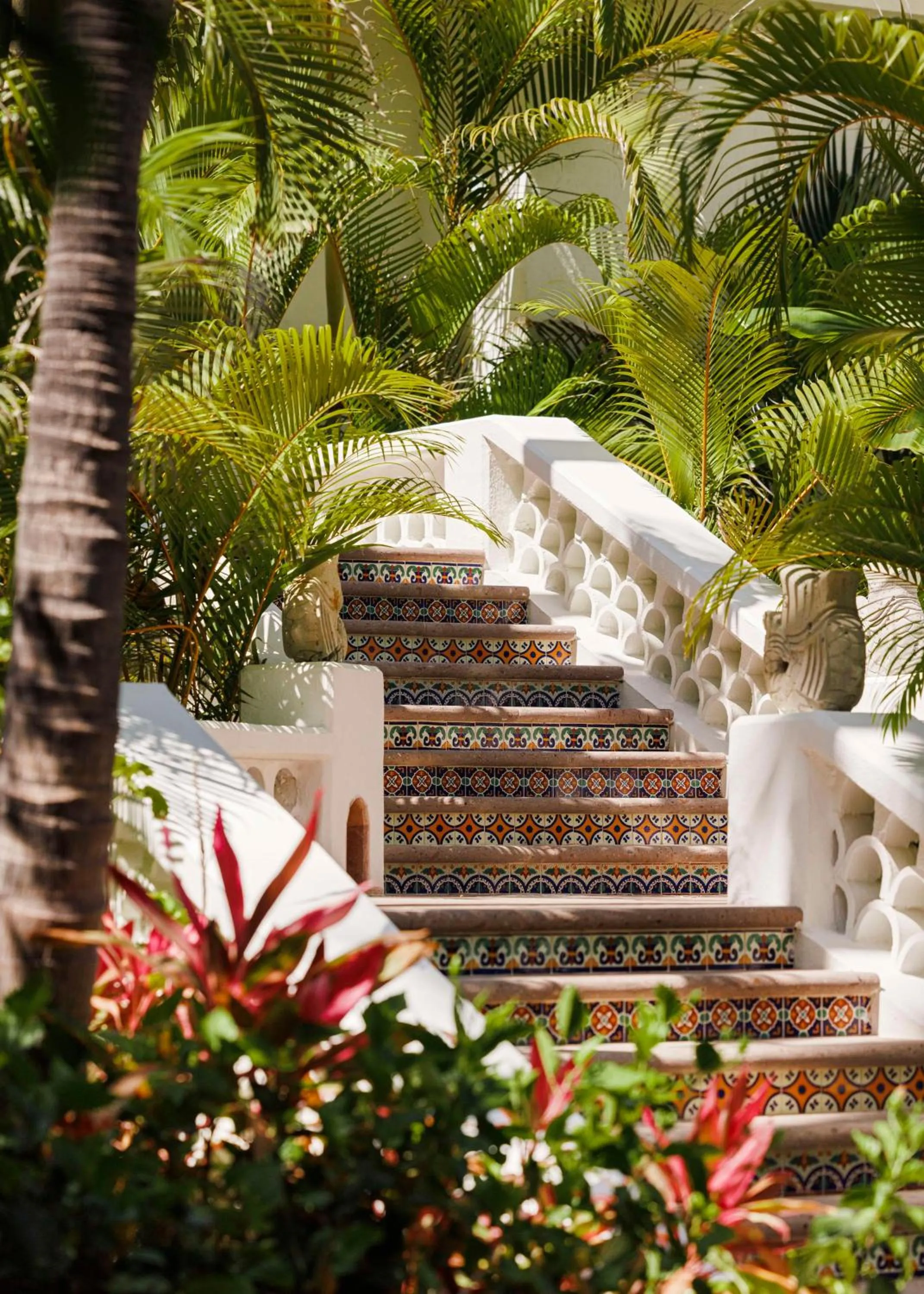 Property building in One&Only Palmilla