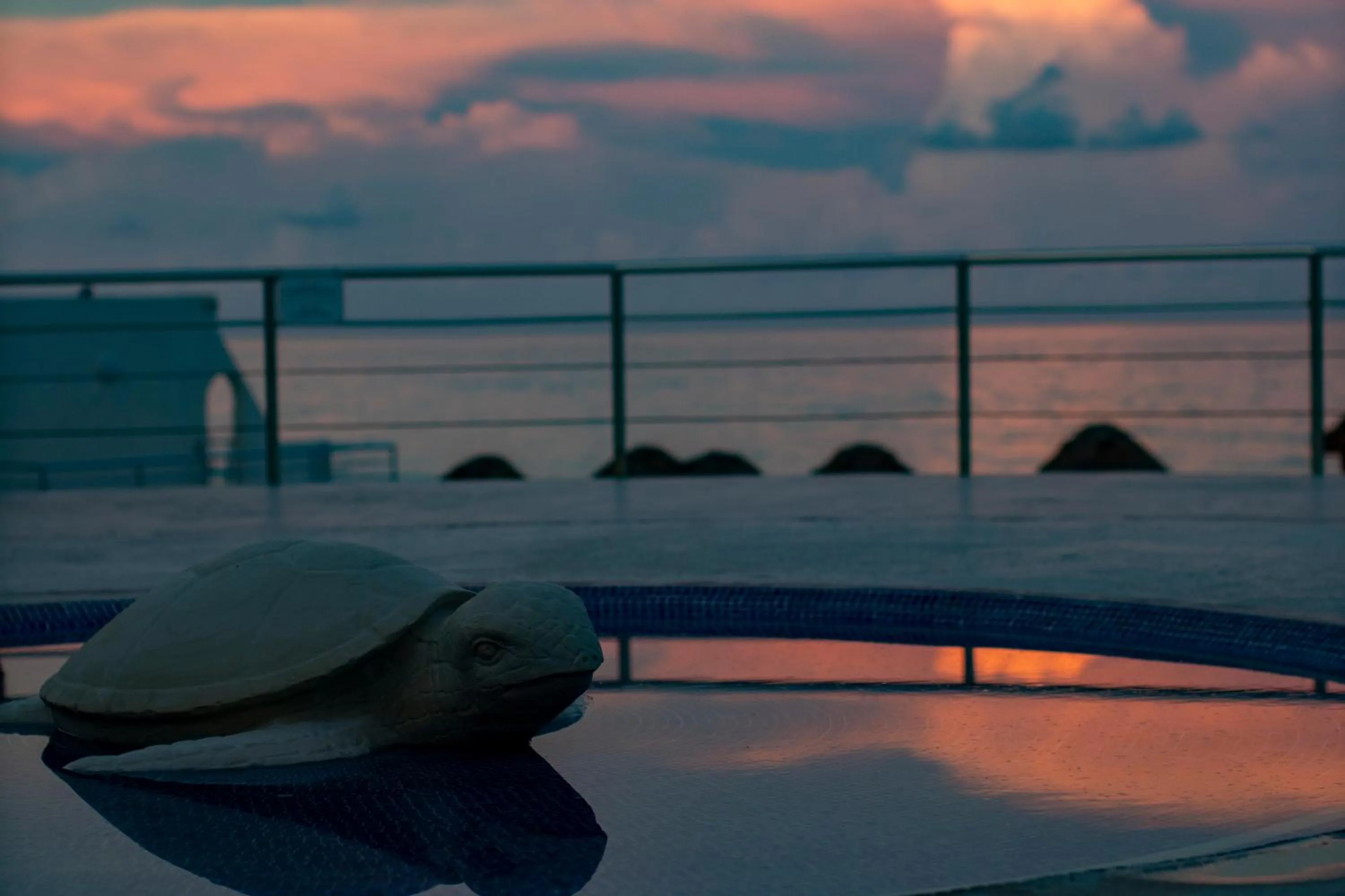 Natural landscape in HotelZone L20 Beach Access