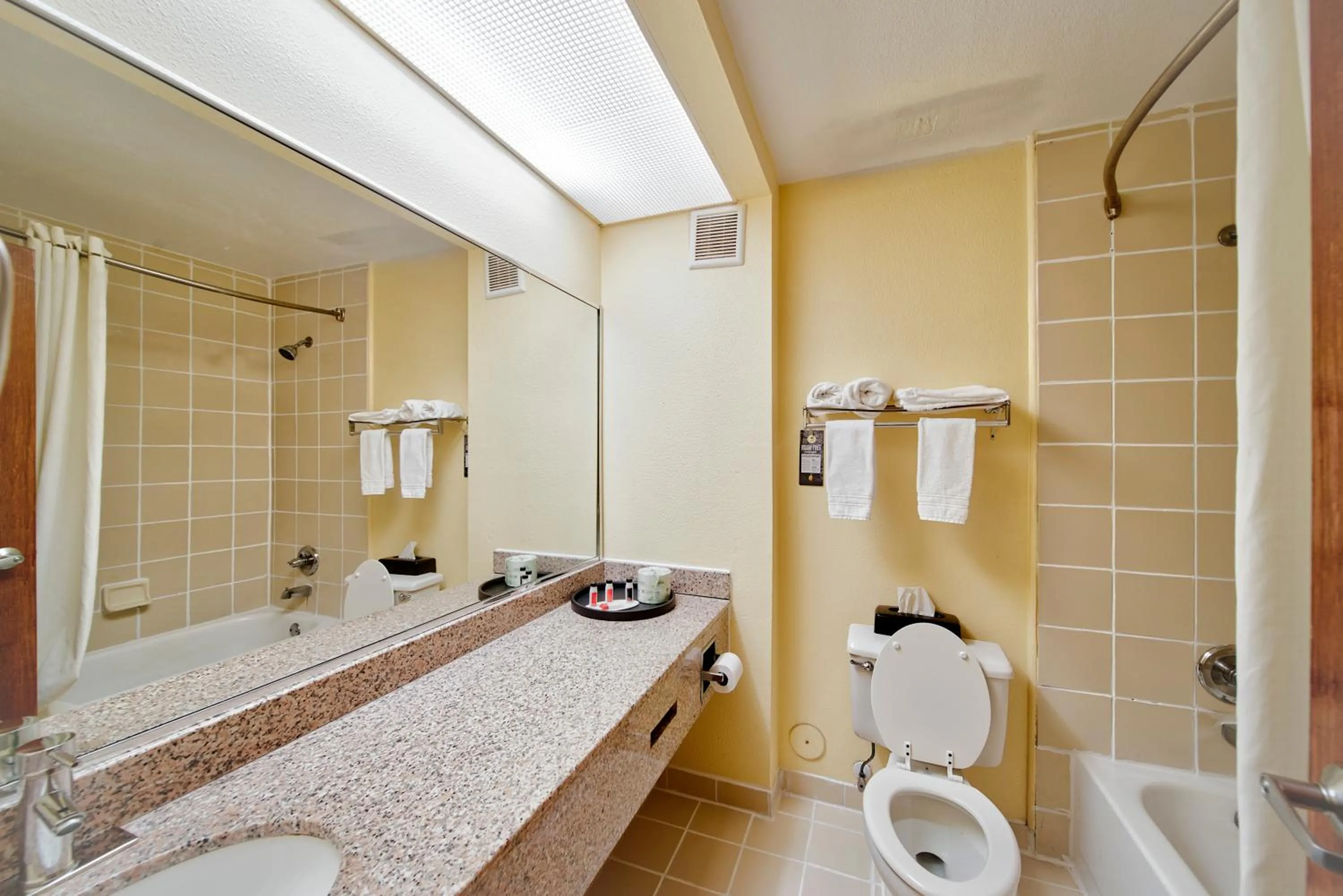 Bathroom in Rodeway Inn Chattanooga Hamilton Place