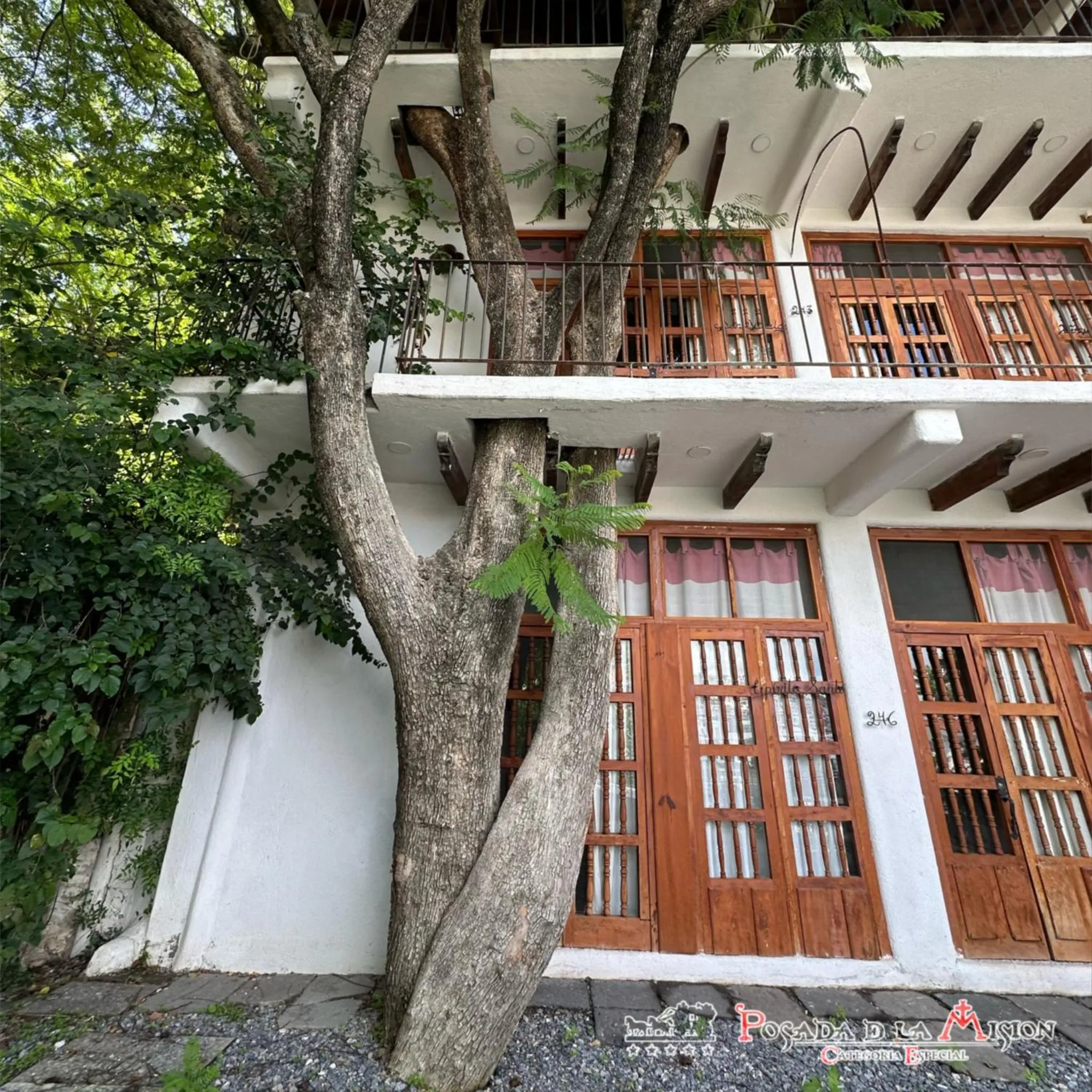 Property building in Posada de la Mision, Hotel Museo y Jardin