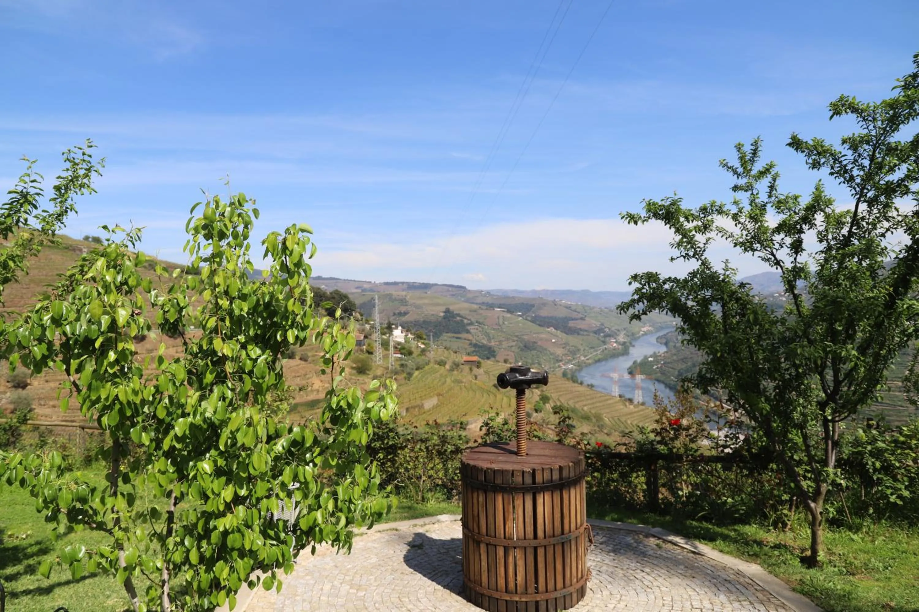 Natural landscape in Casa Vale do Douro