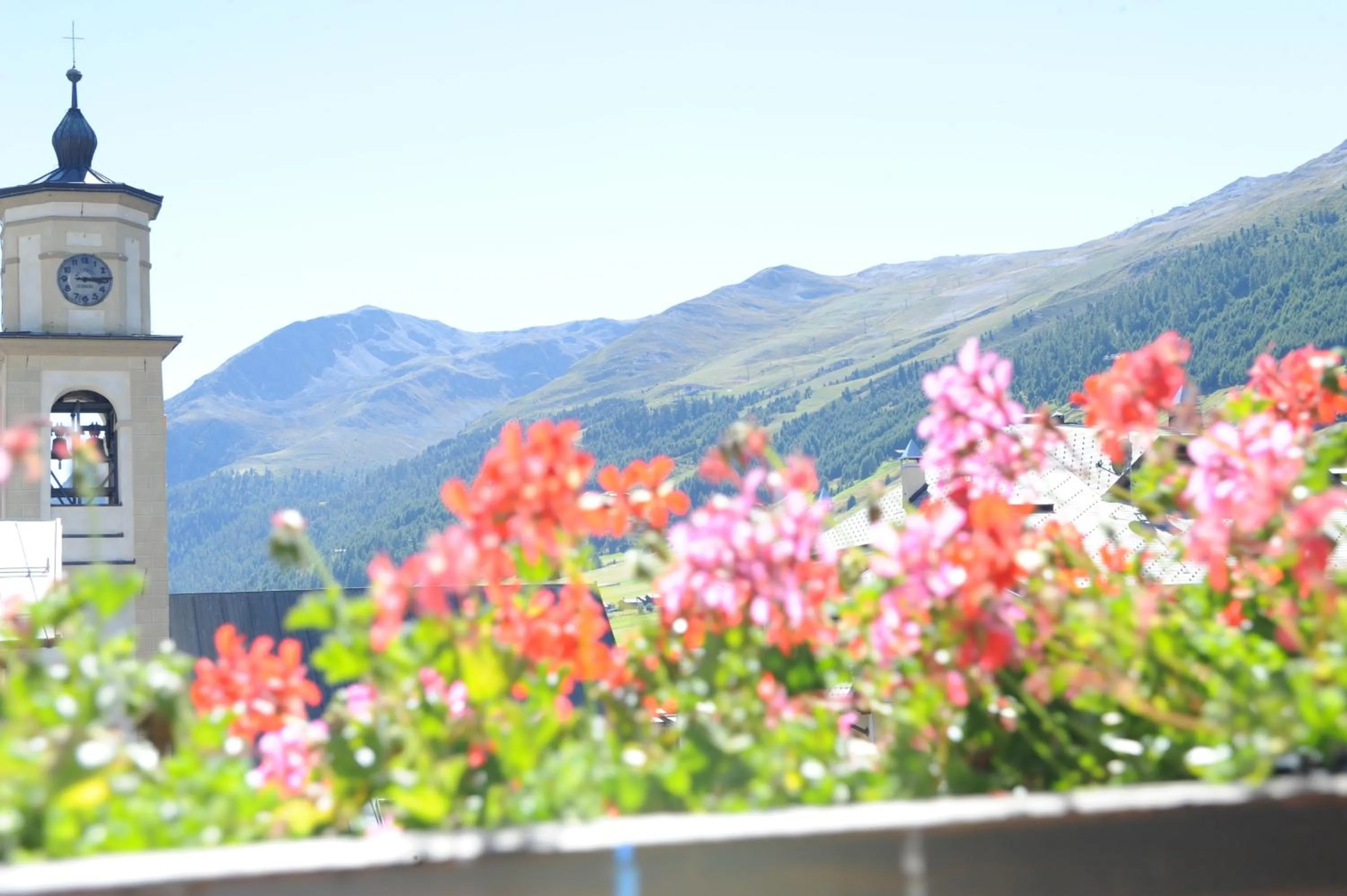 Spring in Hotel Alpina