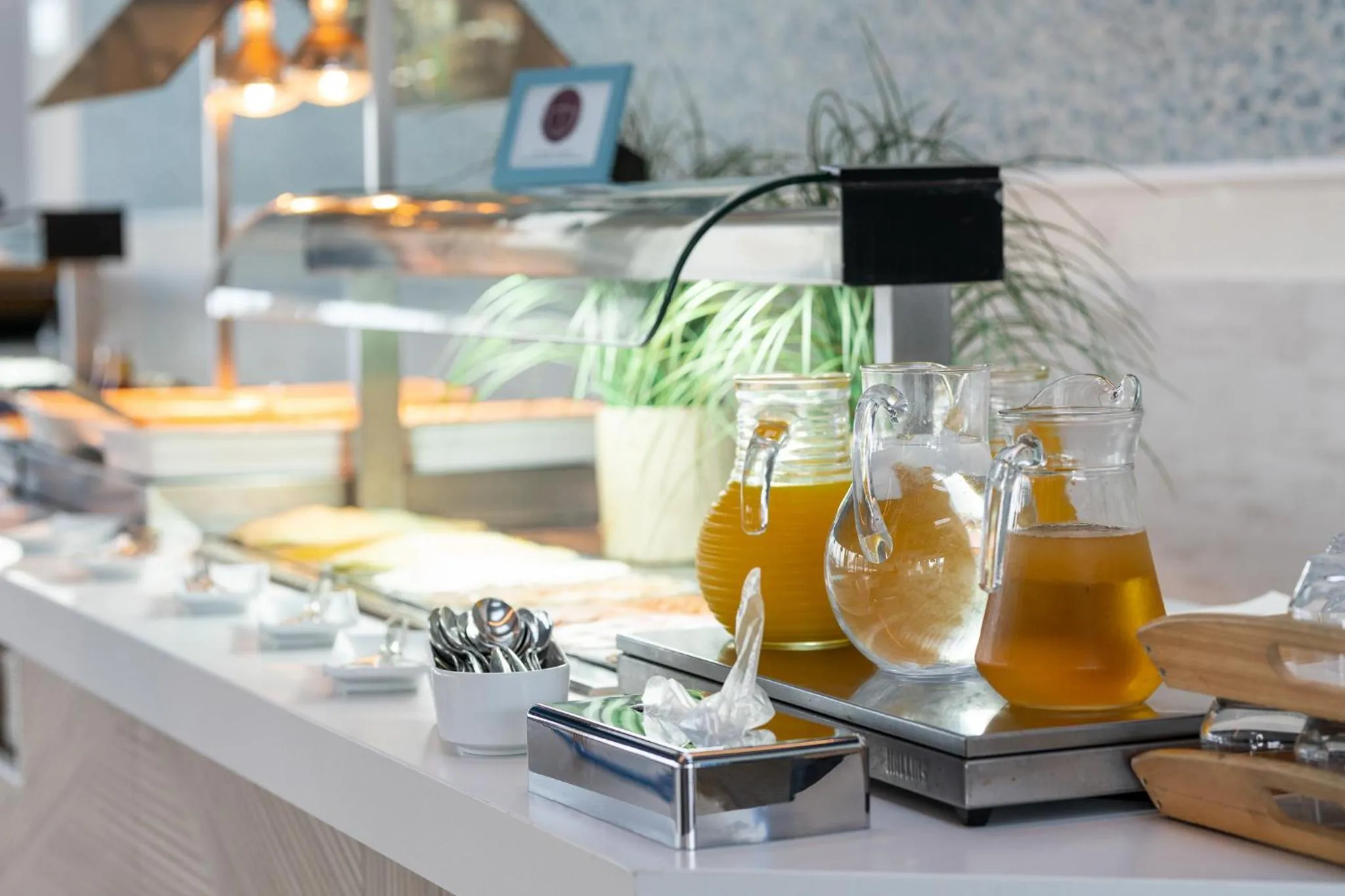 Restaurant/places to eat in Hotel LIVVO Puerto de Mogán