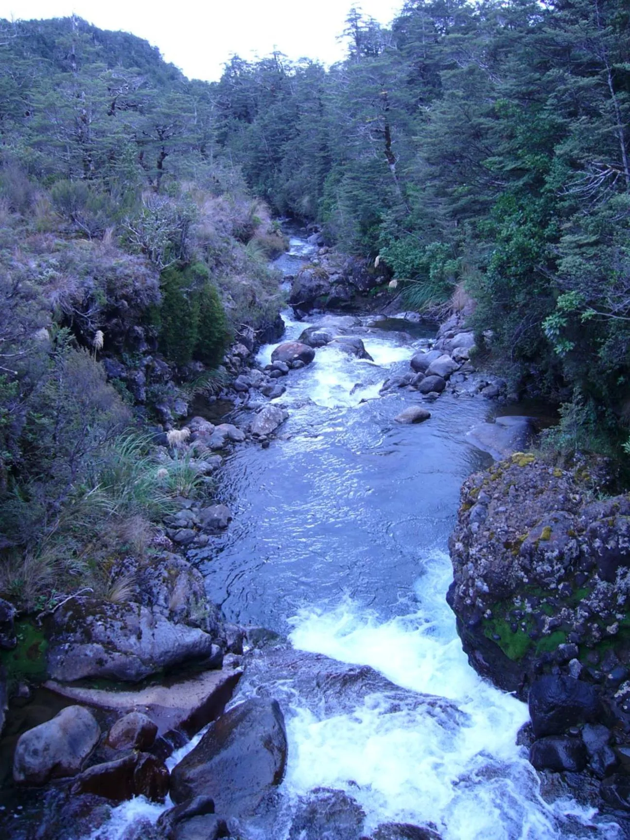 Natural landscape in Mountain Heights Lodge