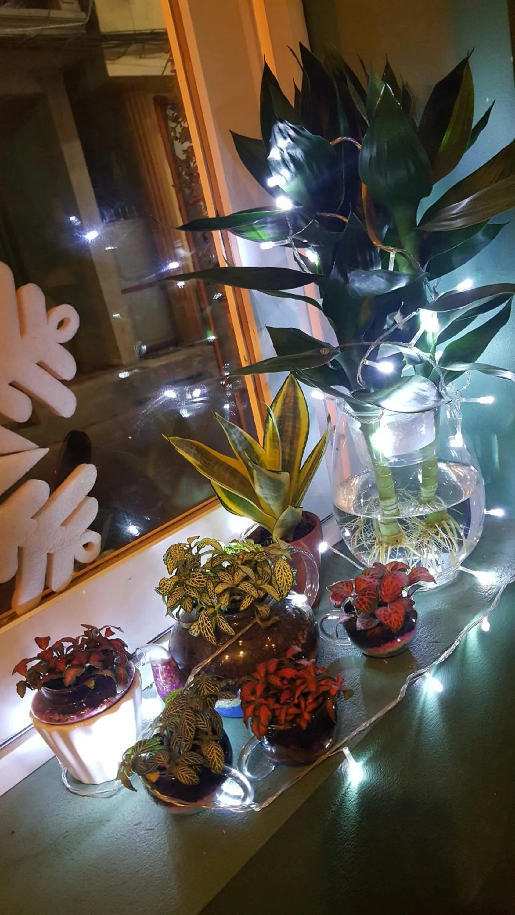 Tam Coc Tuan Minh Homestay