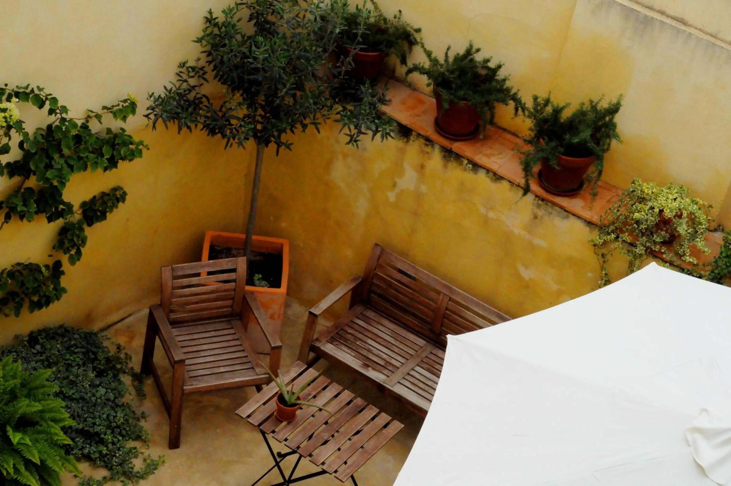 Patio in Casa Aldomar