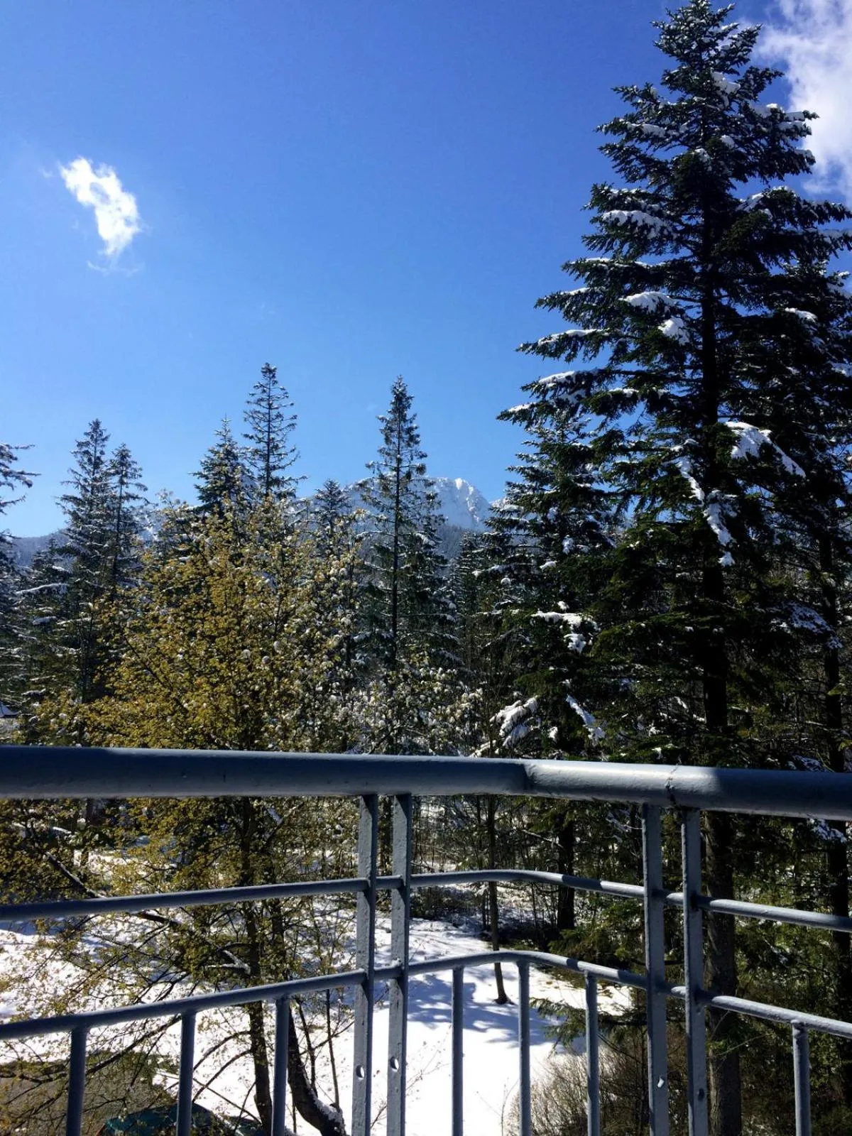 Balcony/Terrace in Astoria - Willa Literatów