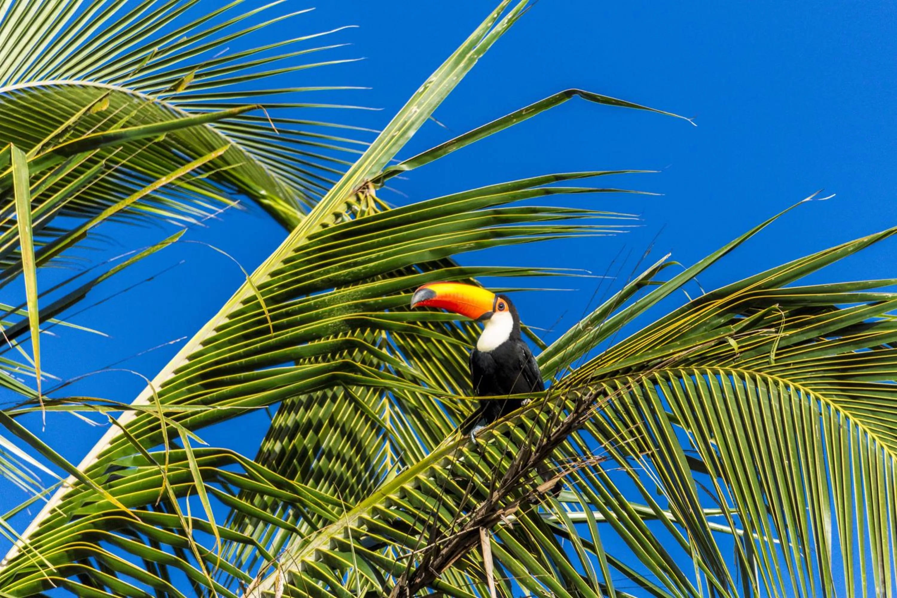 Animals in Zagaia Eco Resort