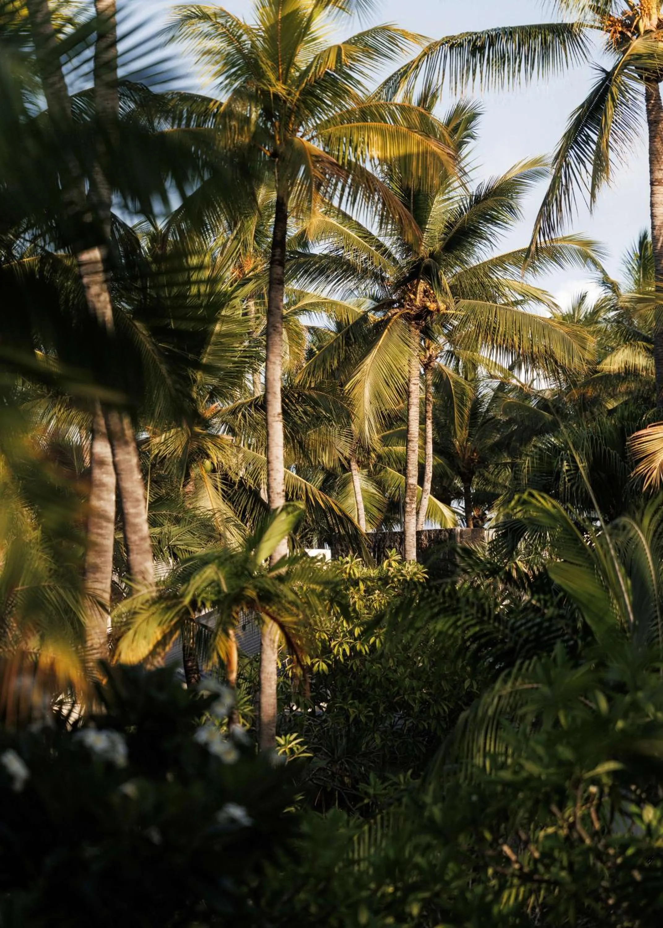 Property building in One&Only Le Saint Géran, Mauritius