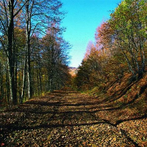 Other in Villa Kastanodasos