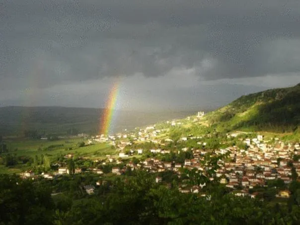 Area and facilities in Villa Kastanodasos