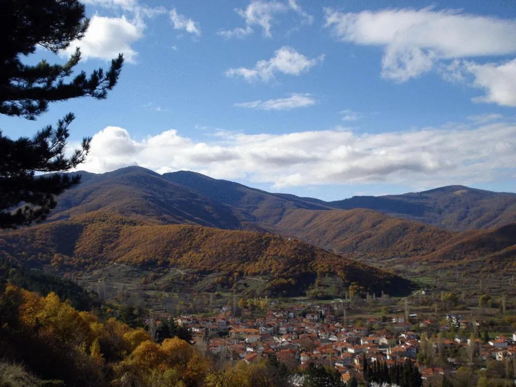 Area and facilities in Villa Kastanodasos