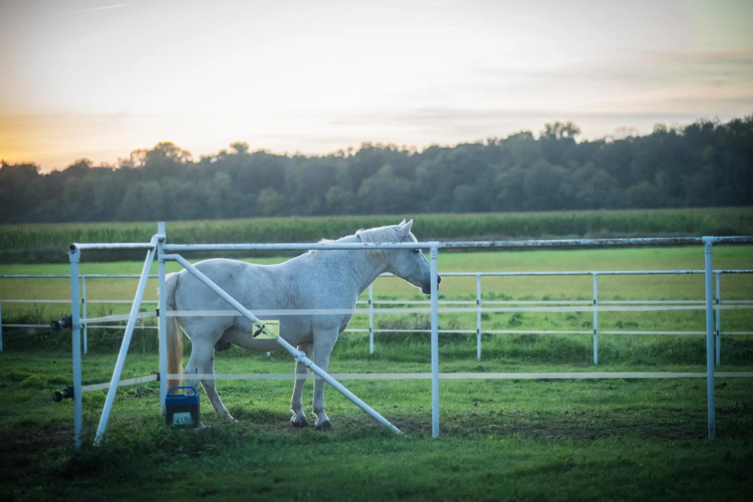 Garden in Agriturismo Beatilla