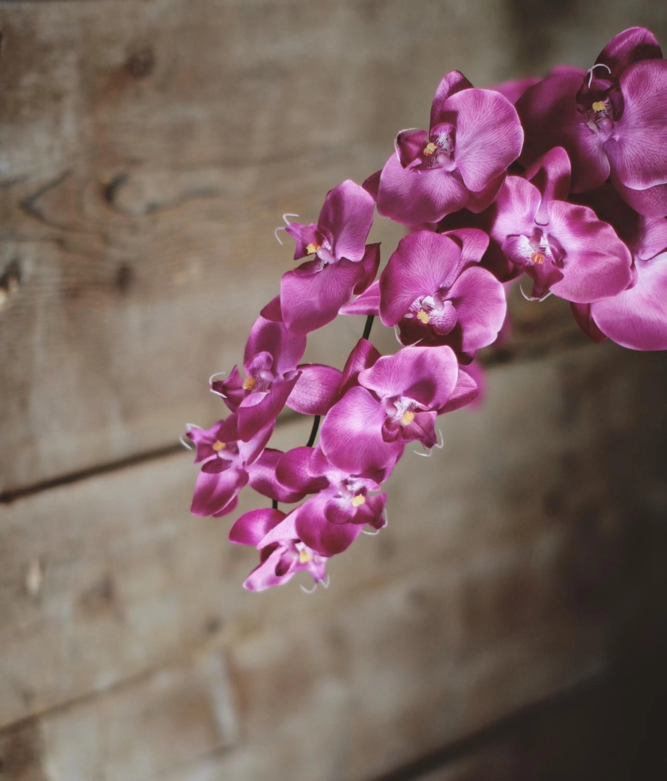 Decorative detail in Agriturismo Beatilla