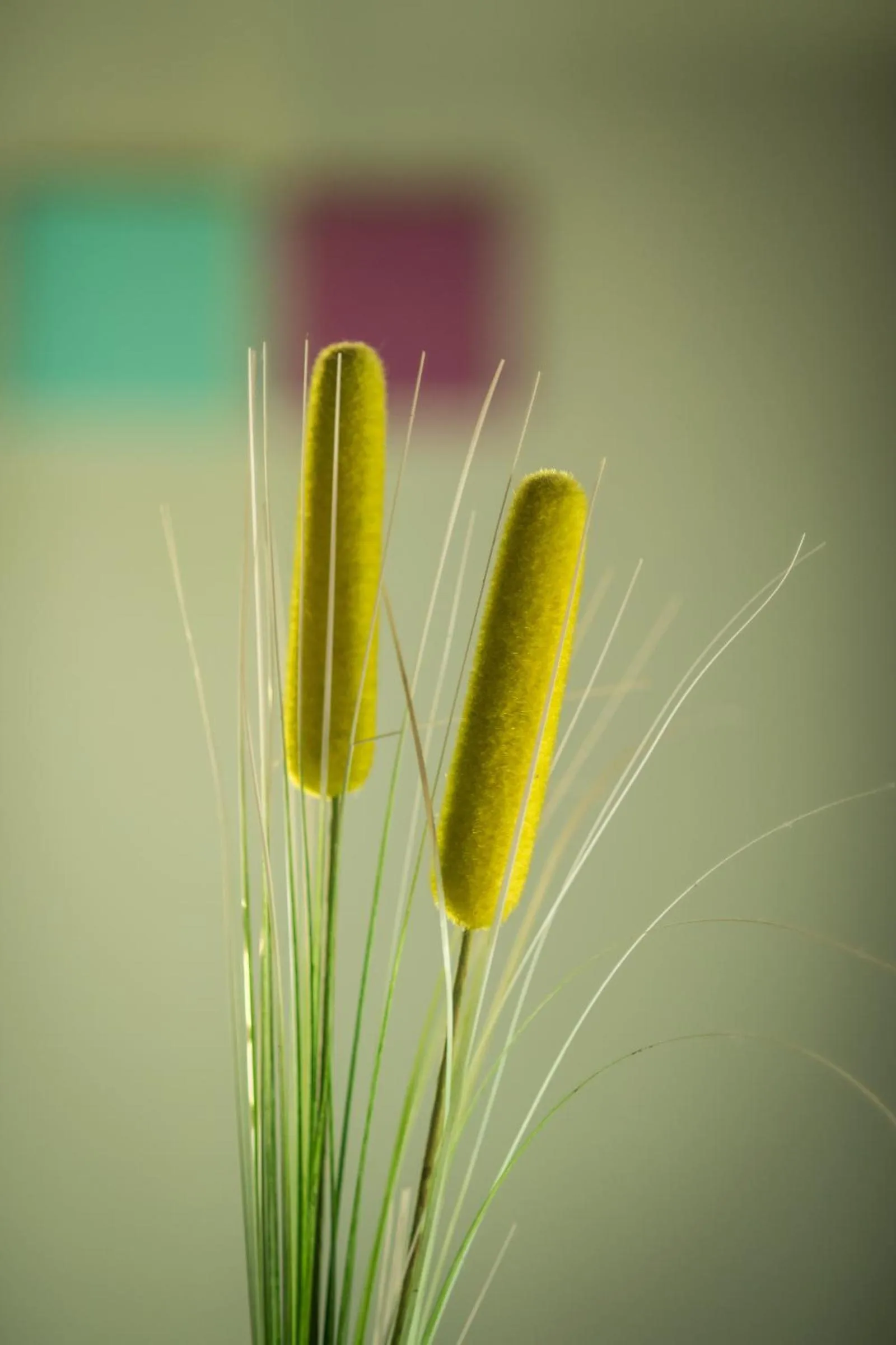 Decorative detail in Agriturismo Beatilla