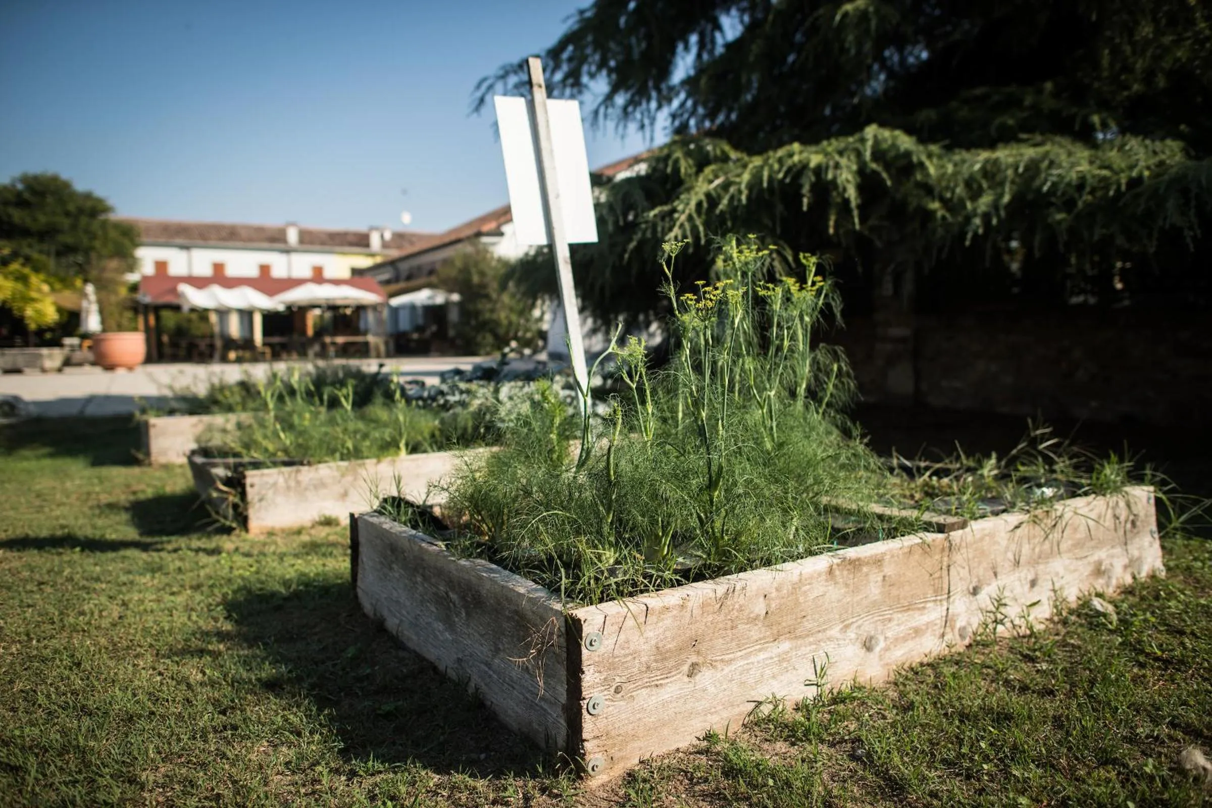 Natural landscape in Agriturismo Beatilla