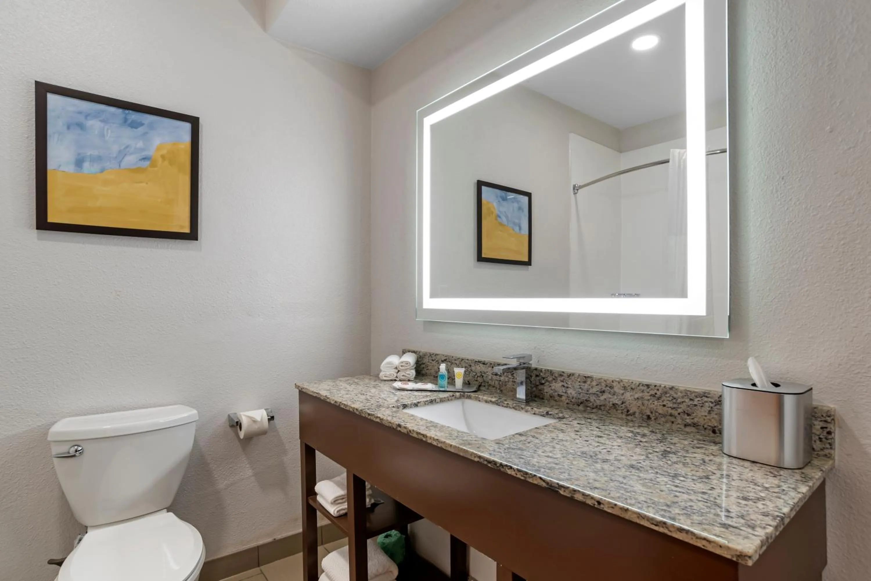 Bathroom in Comfort Suites Hattiesburg near University