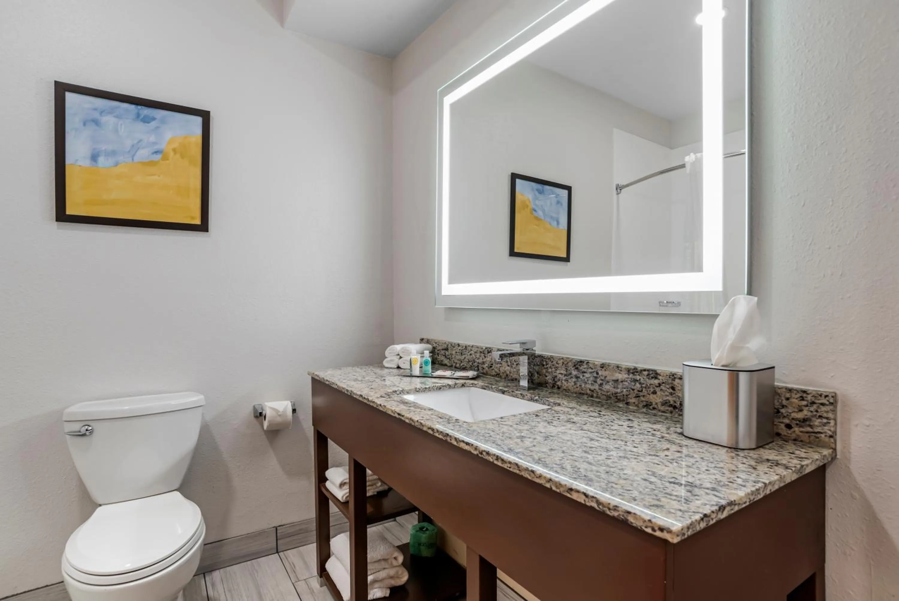 Bathroom in Comfort Suites Hattiesburg near University