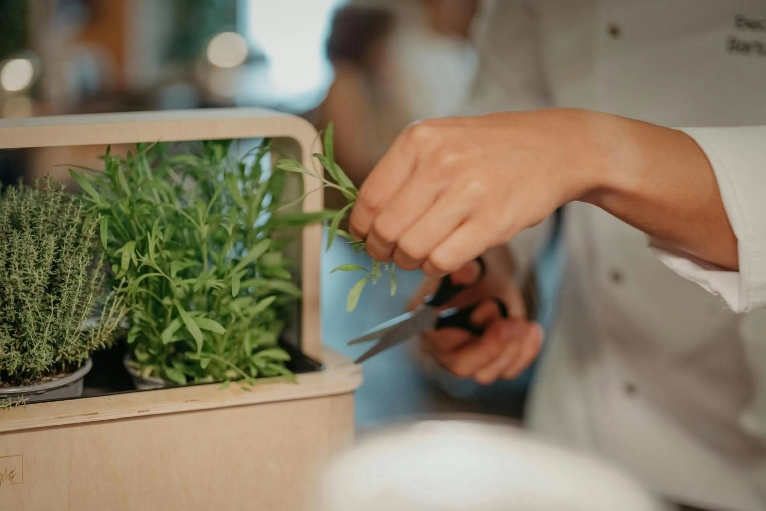 Restaurant/places to eat in JW Marriott Hotel Frankfurt