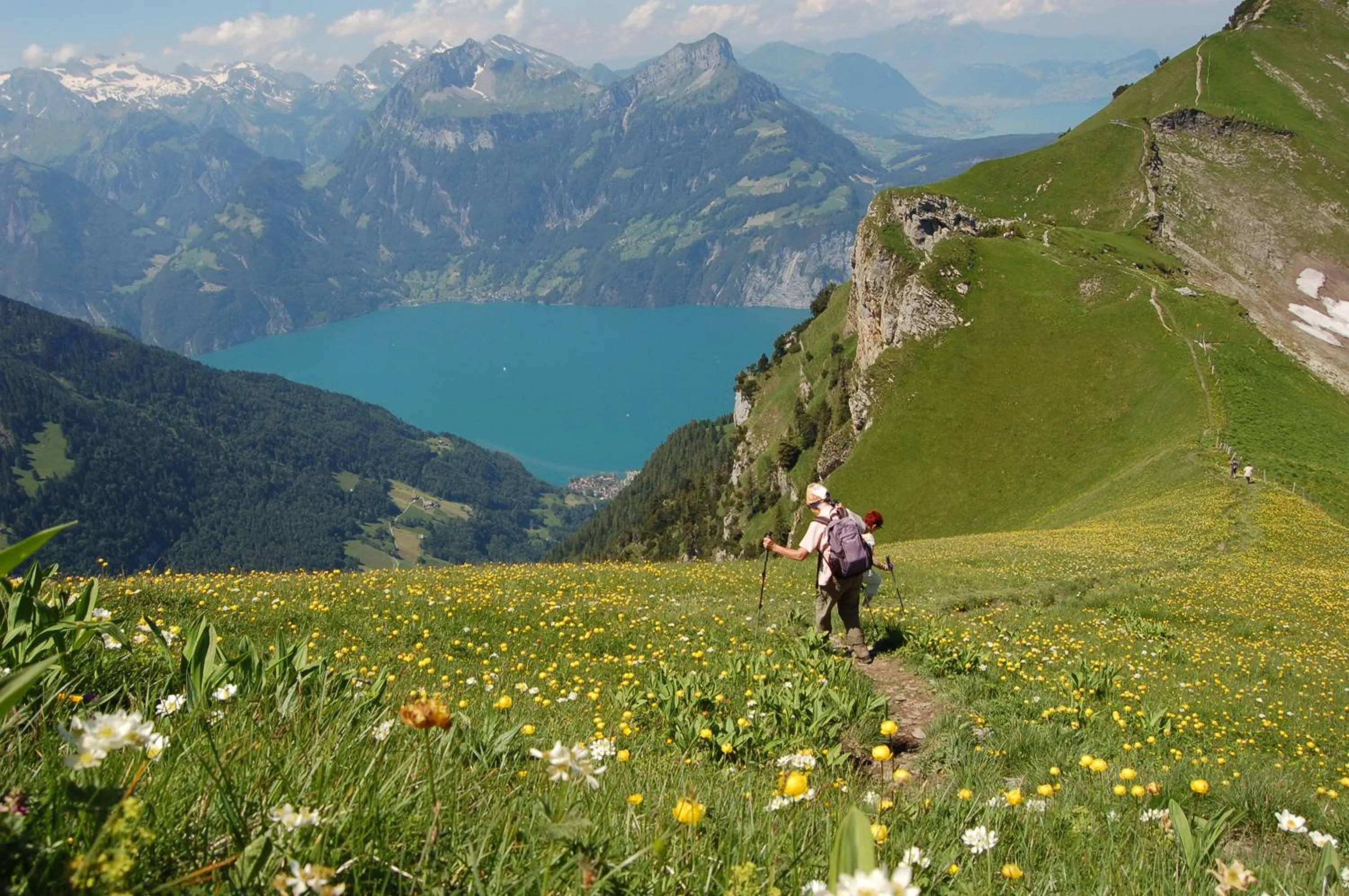 Summer in Fronalpstock Hotel & Restaurant