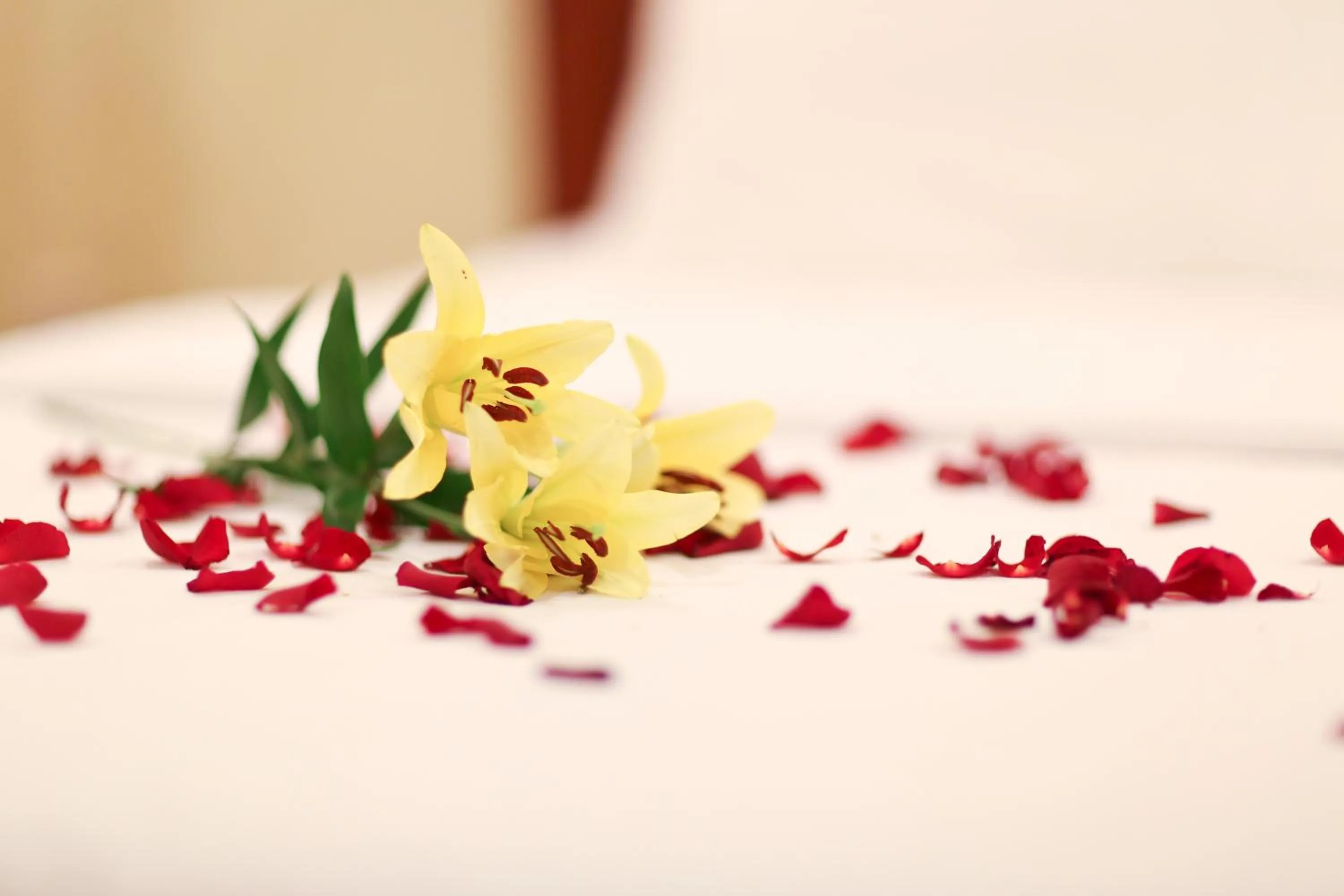 Bed in Golden House International Hotel