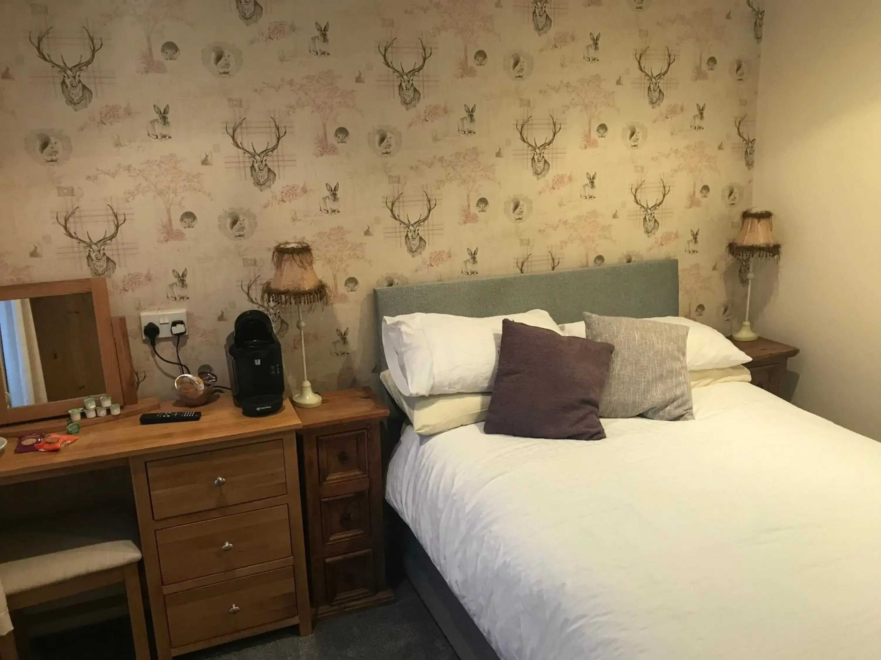 Double Room - single occupancy in Rokeby Inn Double Room - single occupancy in Rokeby Inn